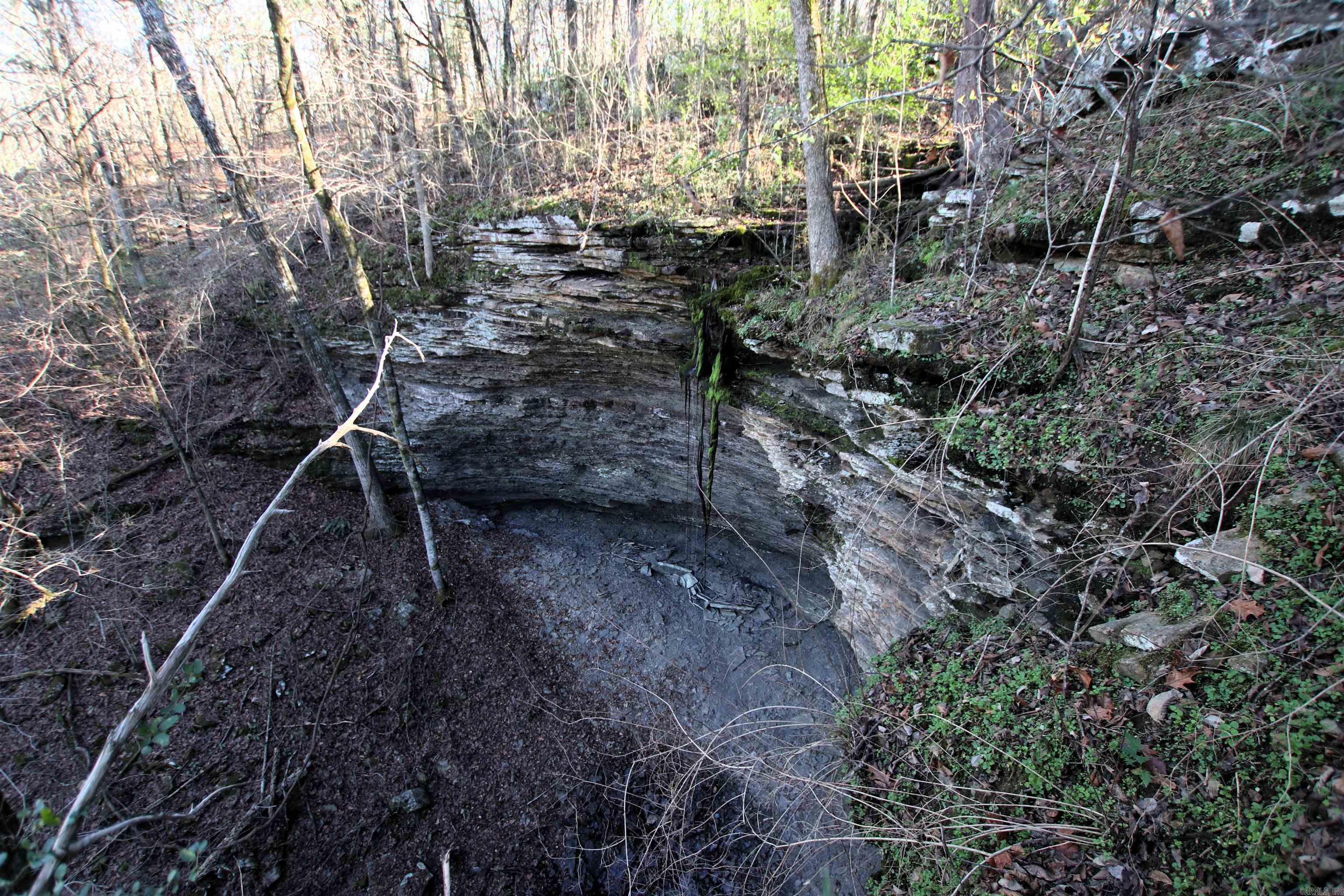 287 Copeland Cave  Cleveland, AR
