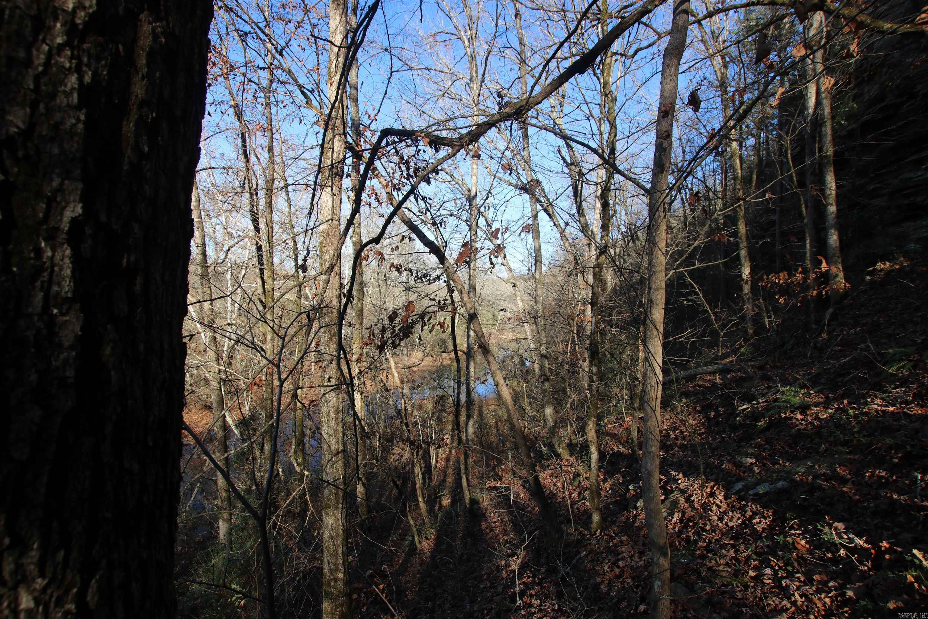 287 Copeland Cave  Cleveland, AR