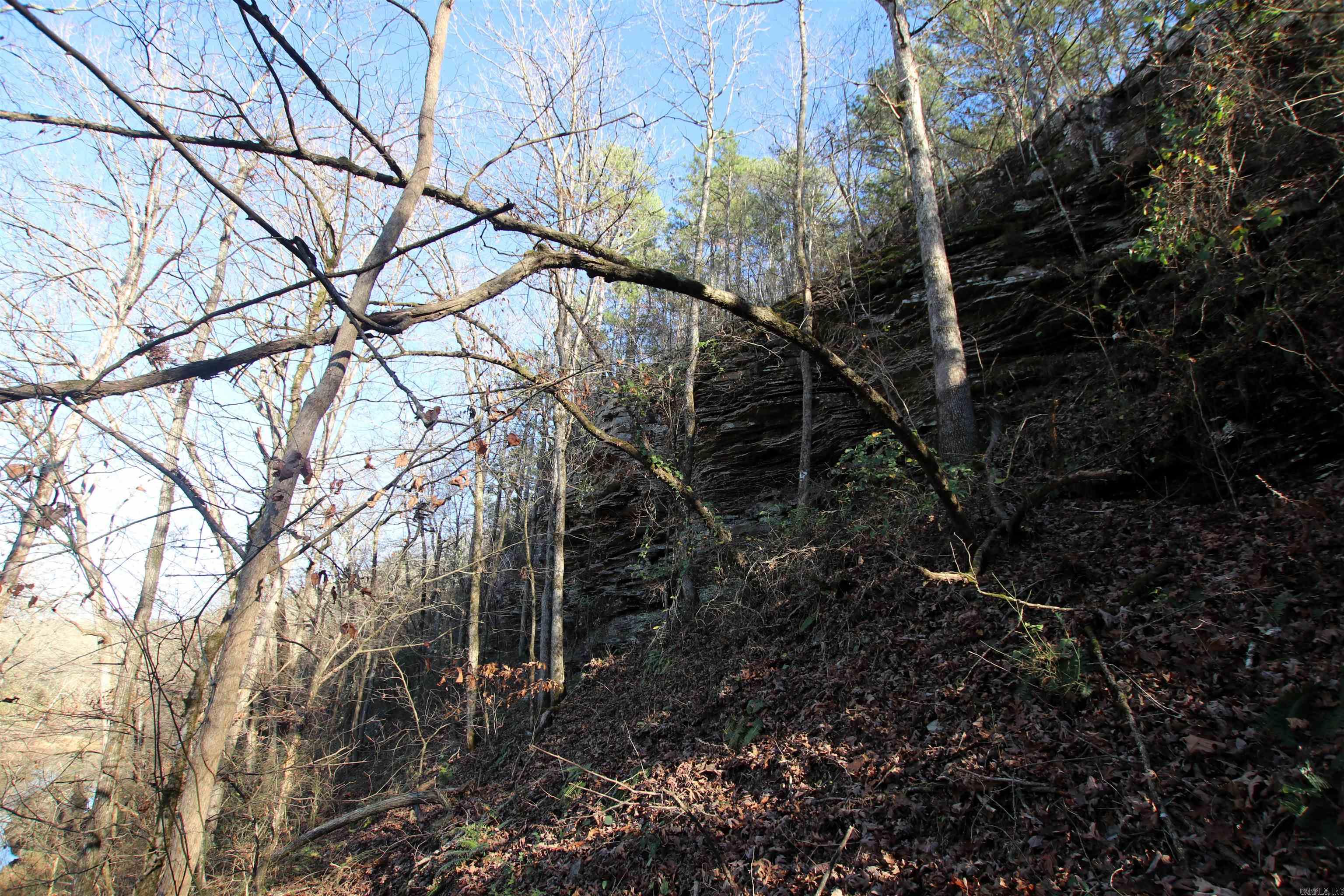 287 Copeland Cave  Cleveland, AR