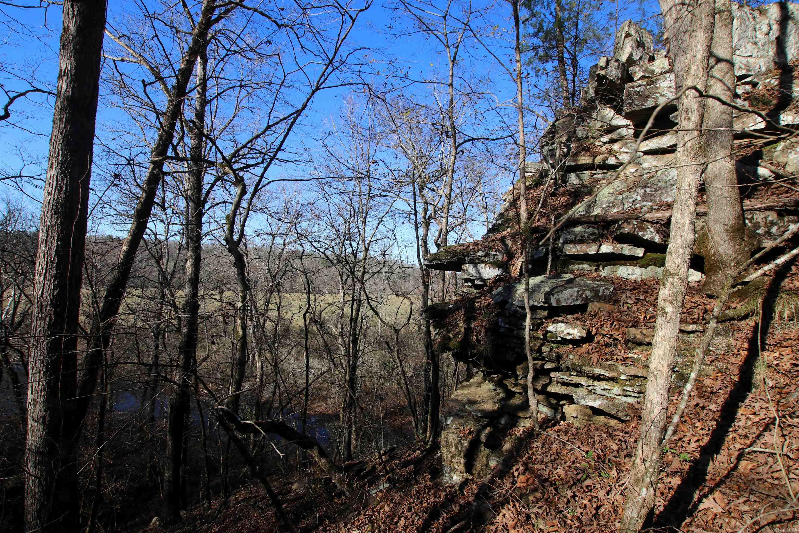 287 Copeland Cave  Cleveland, AR