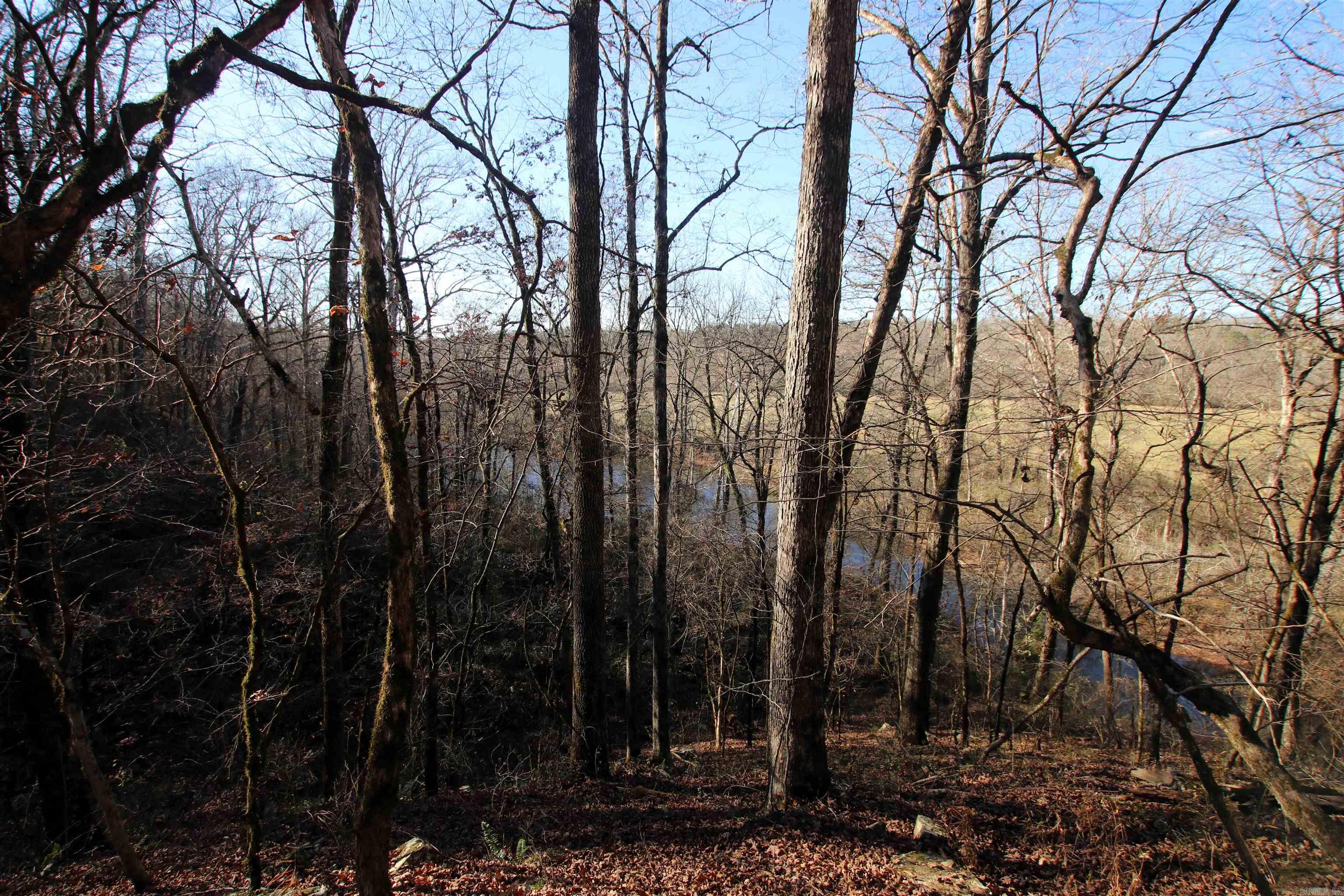 287 Copeland Cave  Cleveland, AR