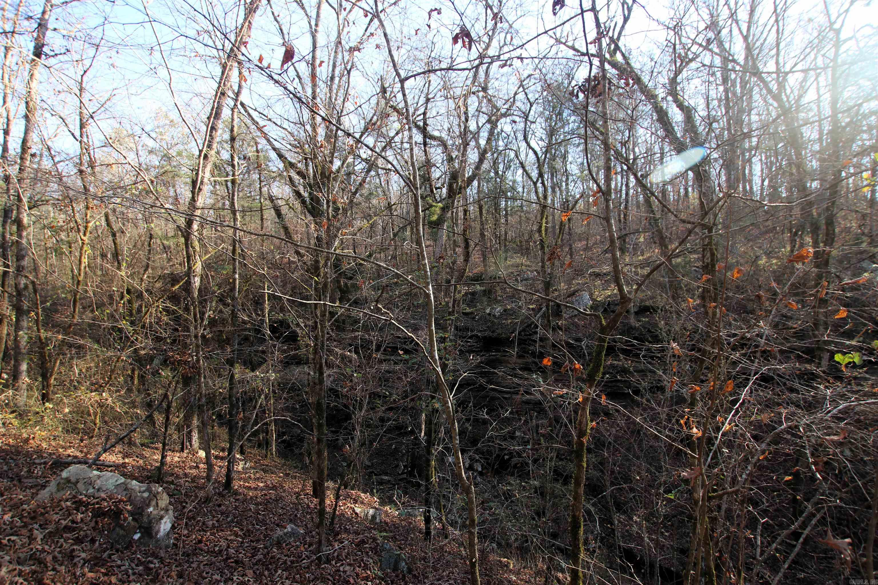 287 Copeland Cave  Cleveland, AR