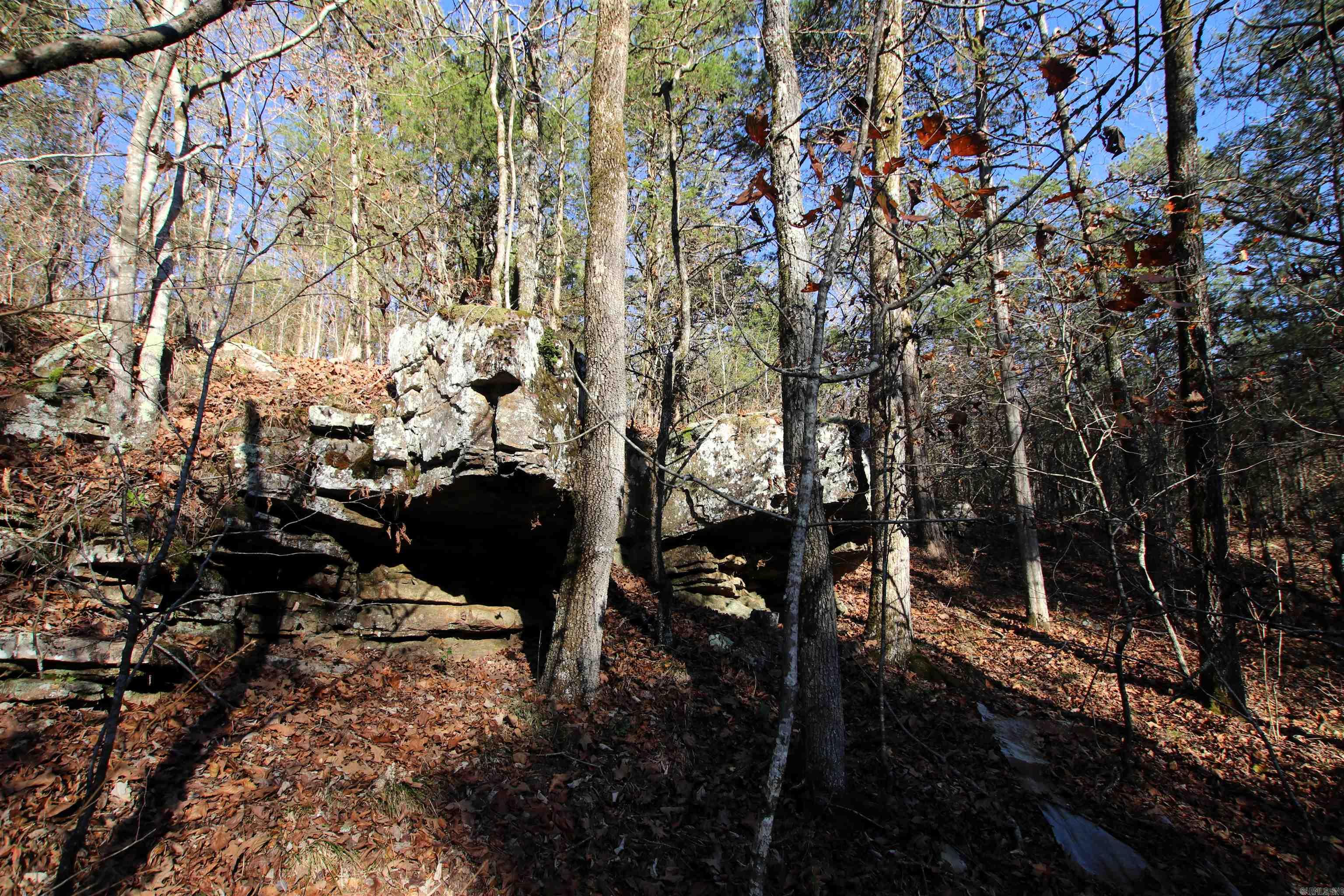 287 Copeland Cave  Cleveland, AR