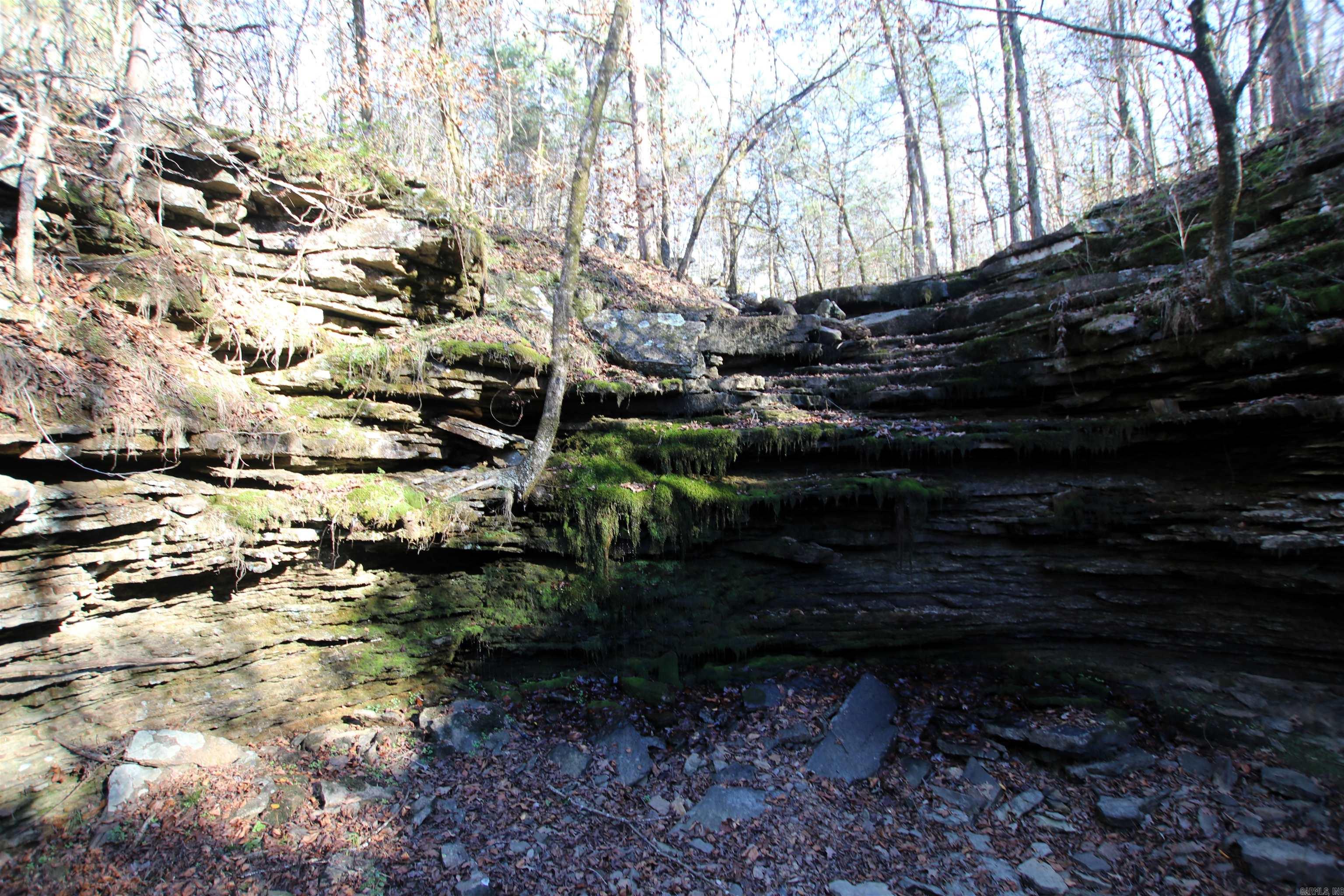 287 Copeland Cave  Cleveland, AR