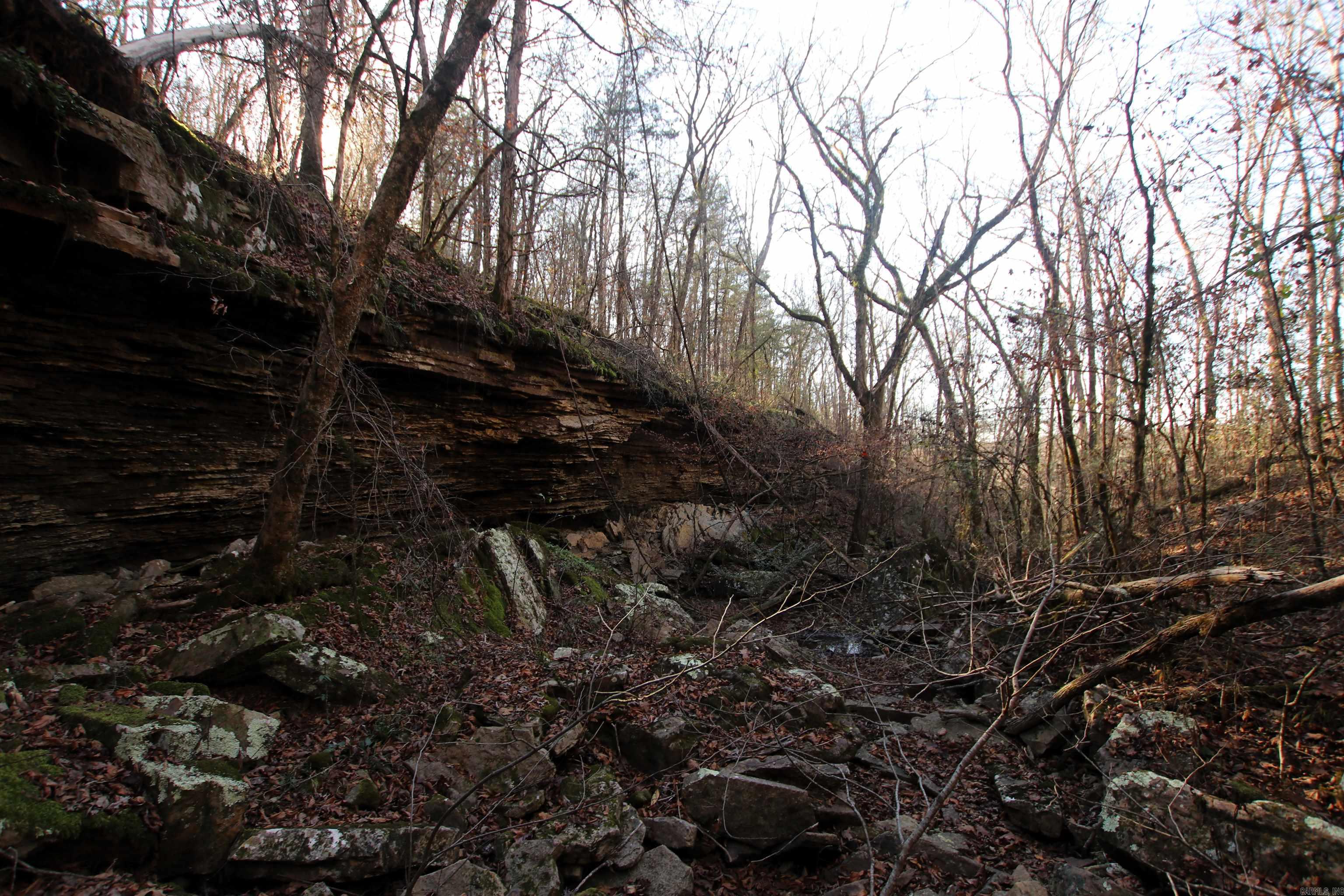 287 Copeland Cave  Cleveland, AR