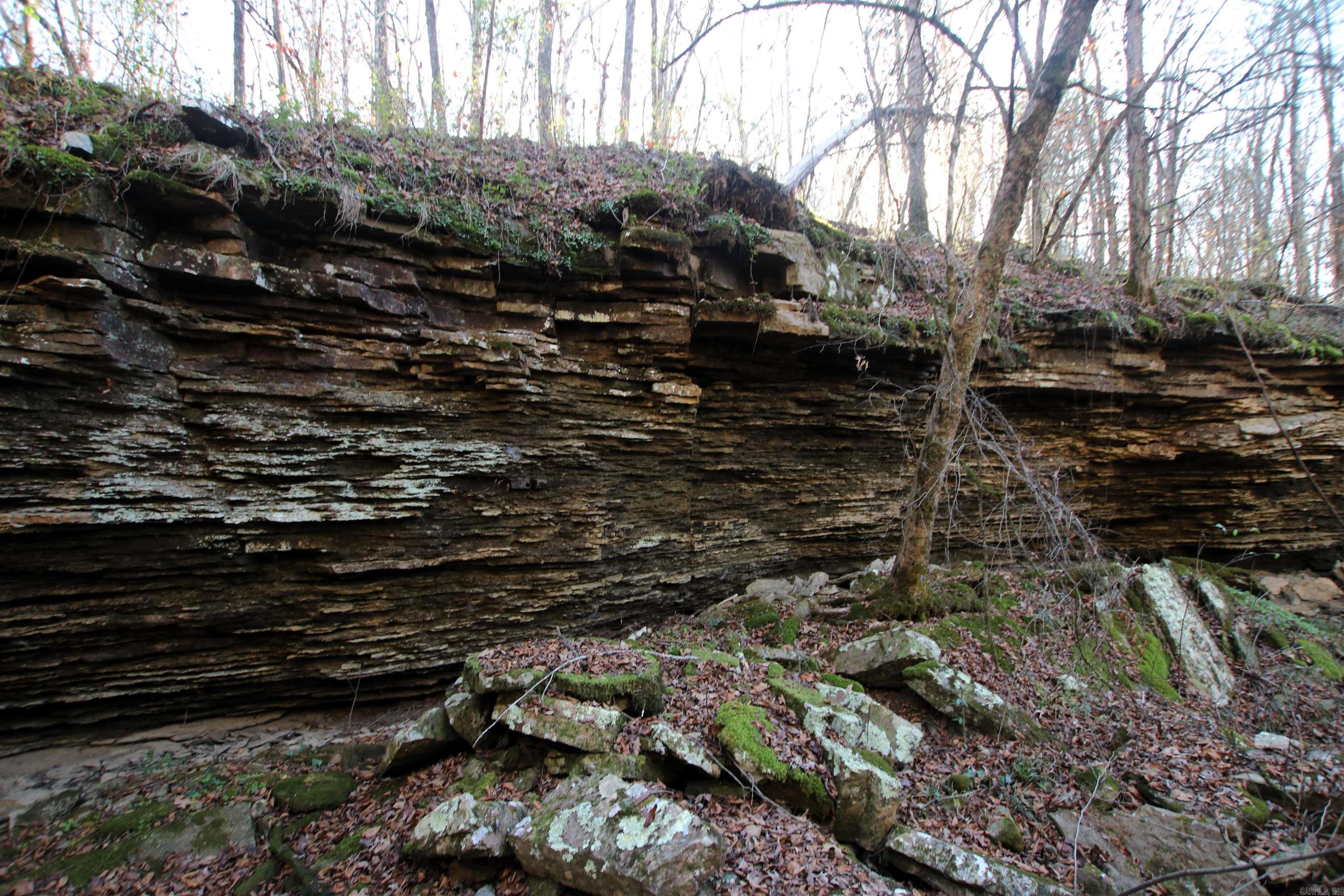 287 Copeland Cave  Cleveland, AR