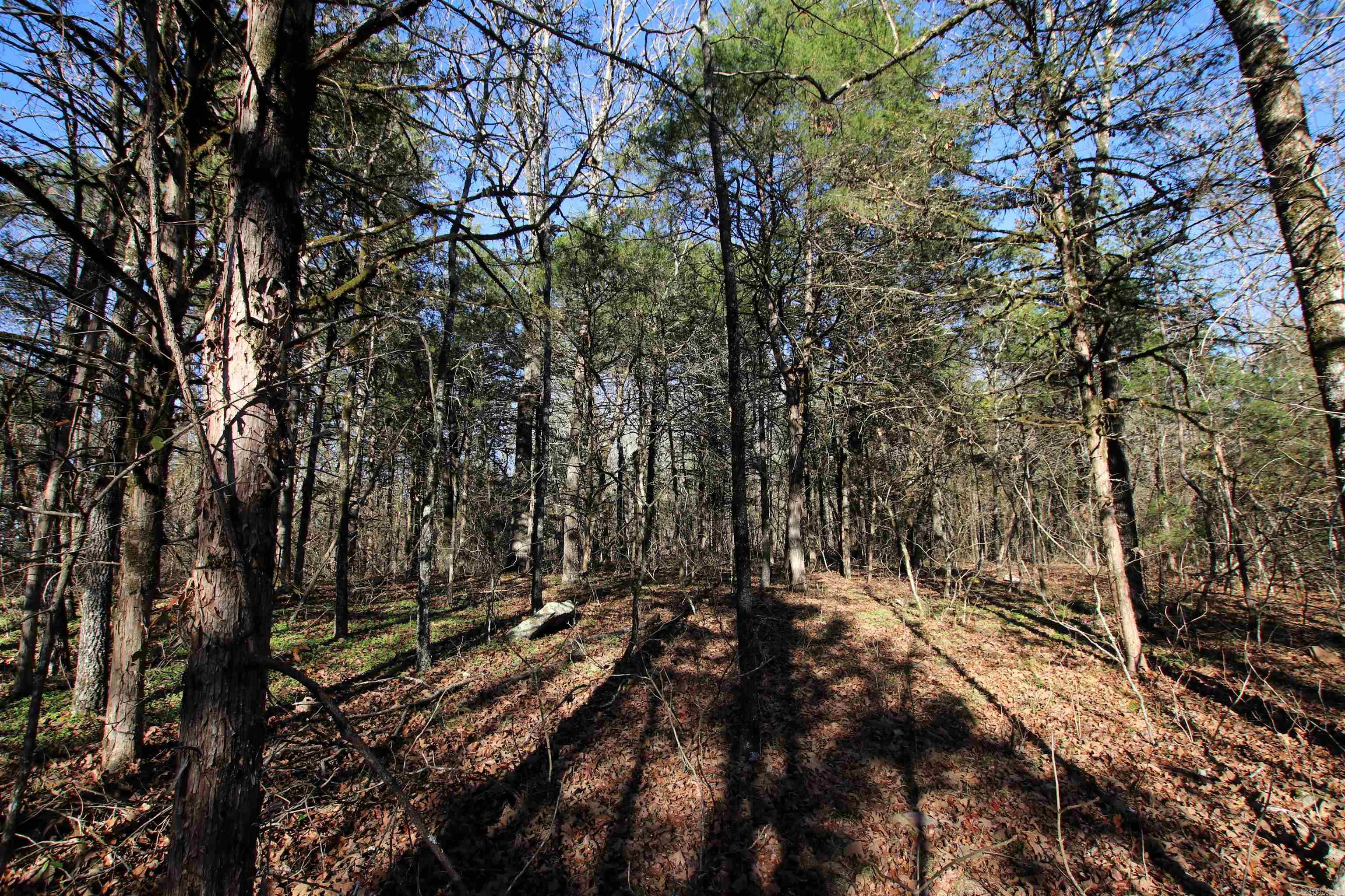 287 Copeland Cave  Cleveland, AR