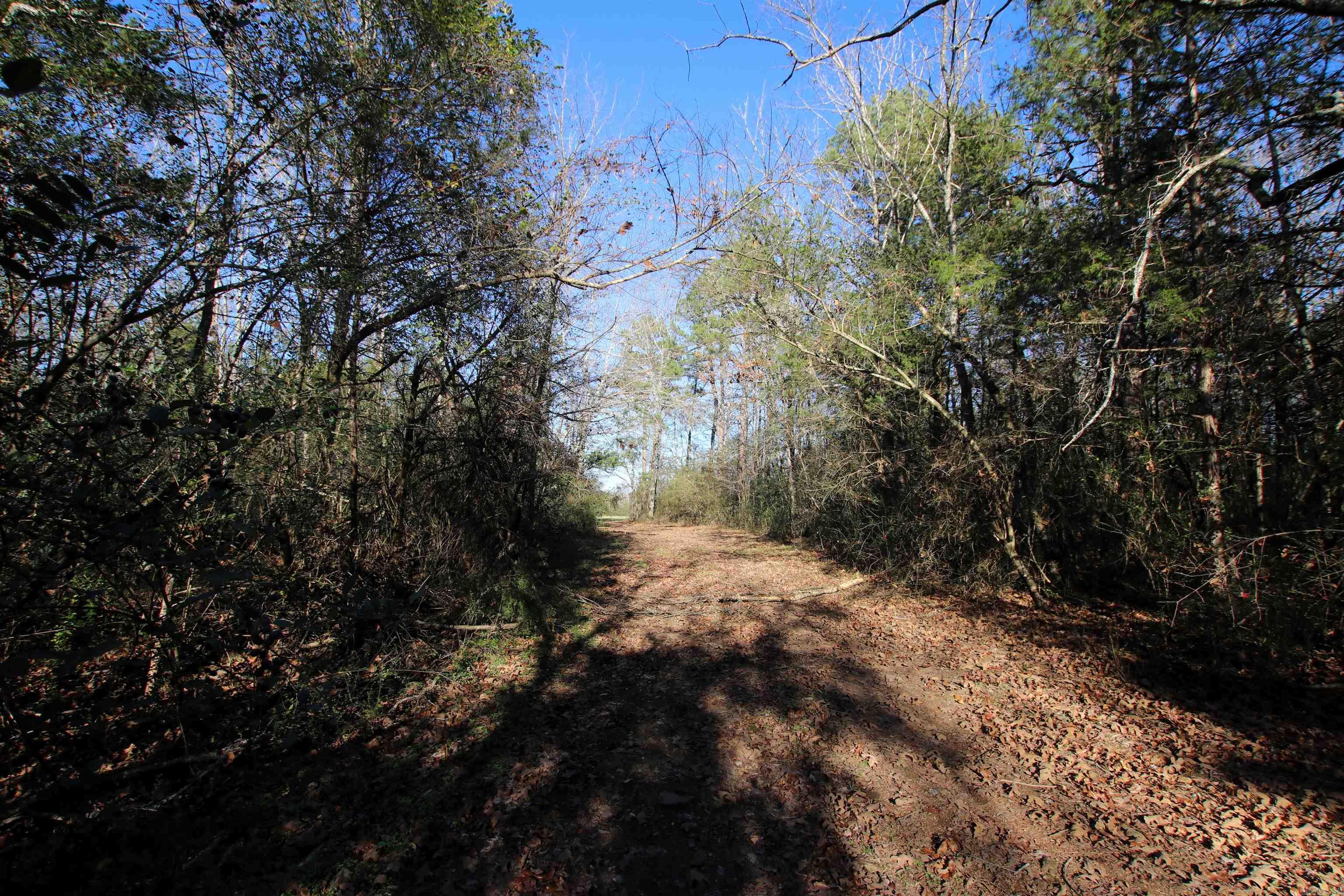 287 Copeland Cave  Cleveland, AR