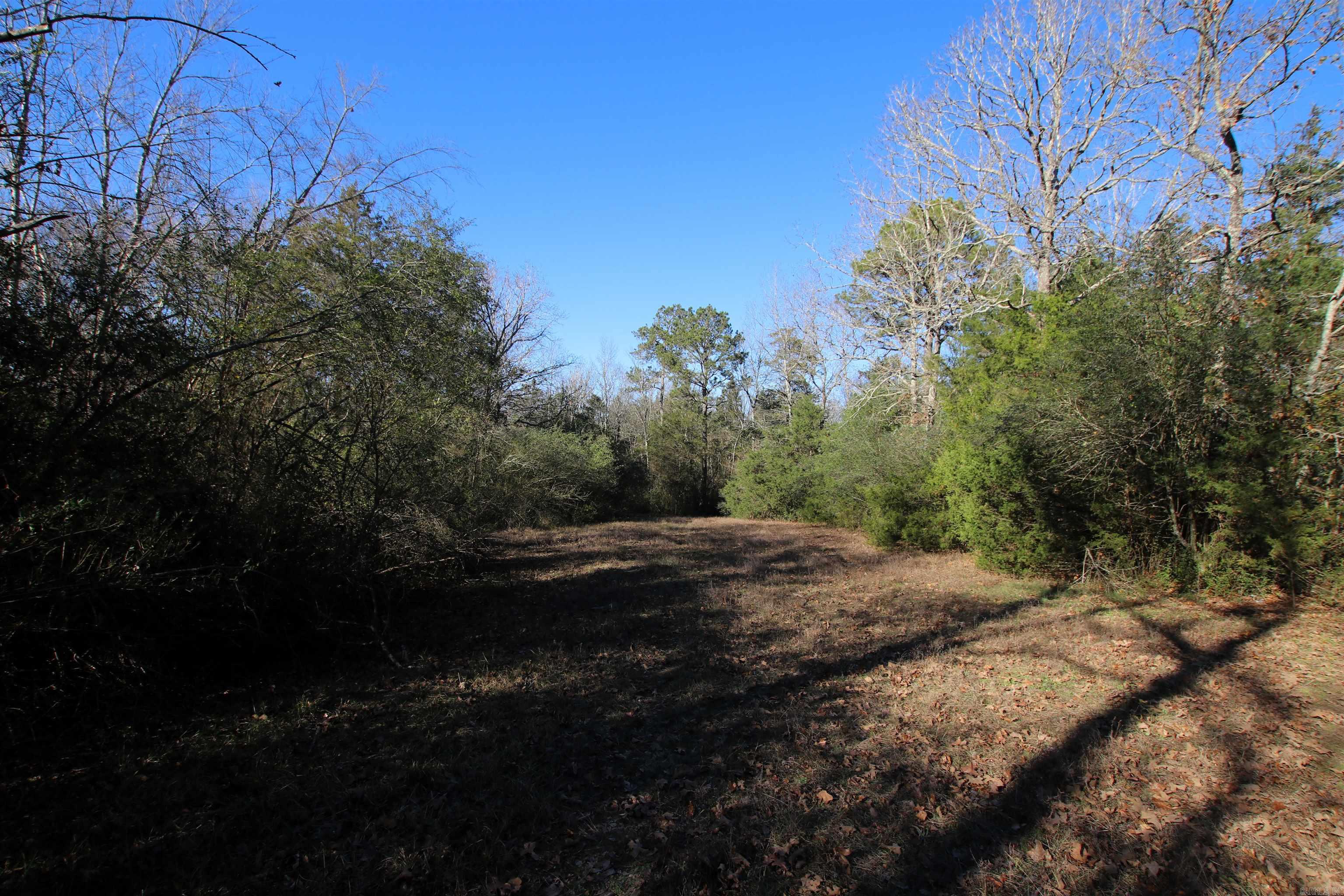 287 Copeland Cave  Cleveland, AR