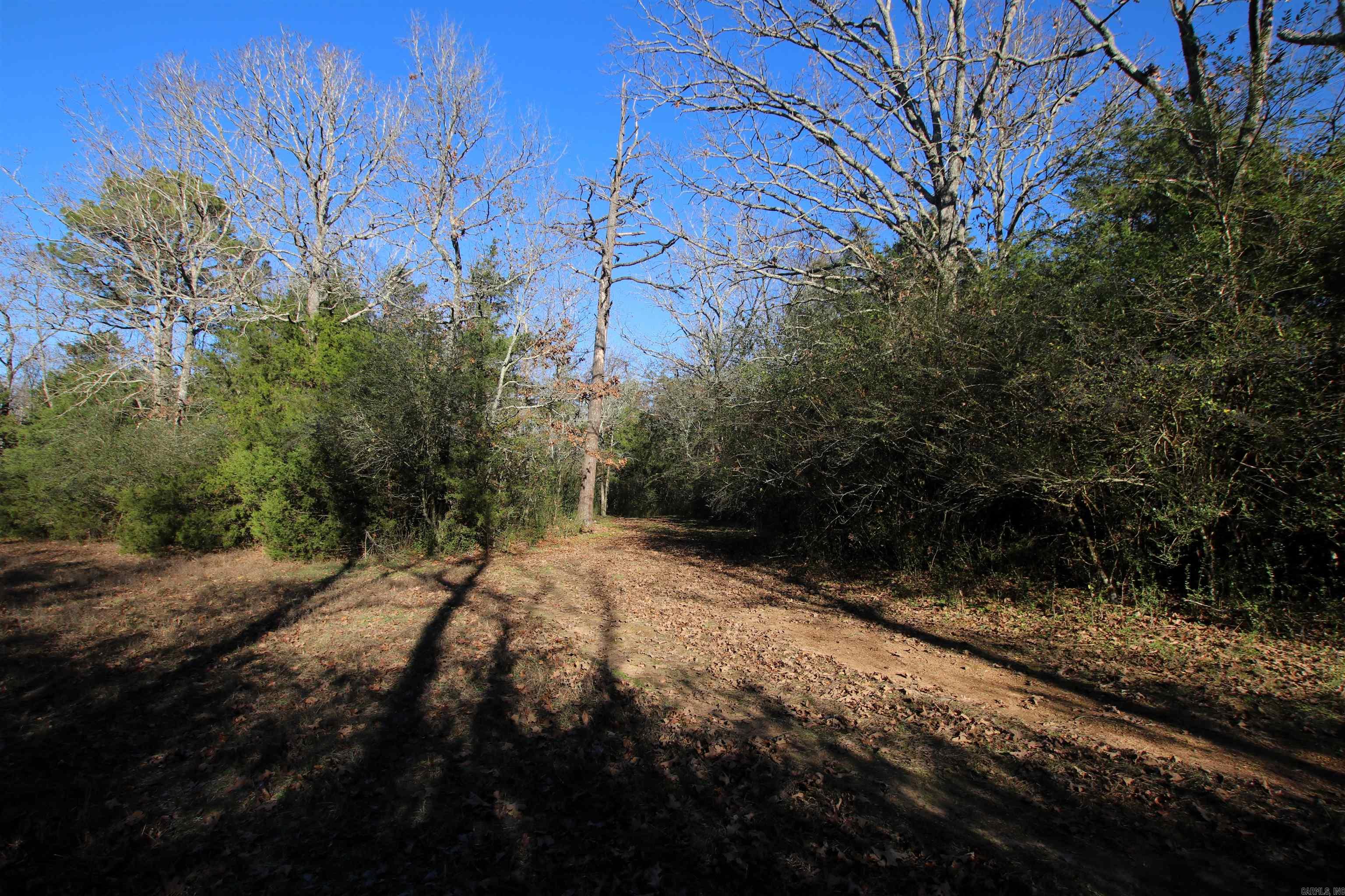 287 Copeland Cave  Cleveland, AR