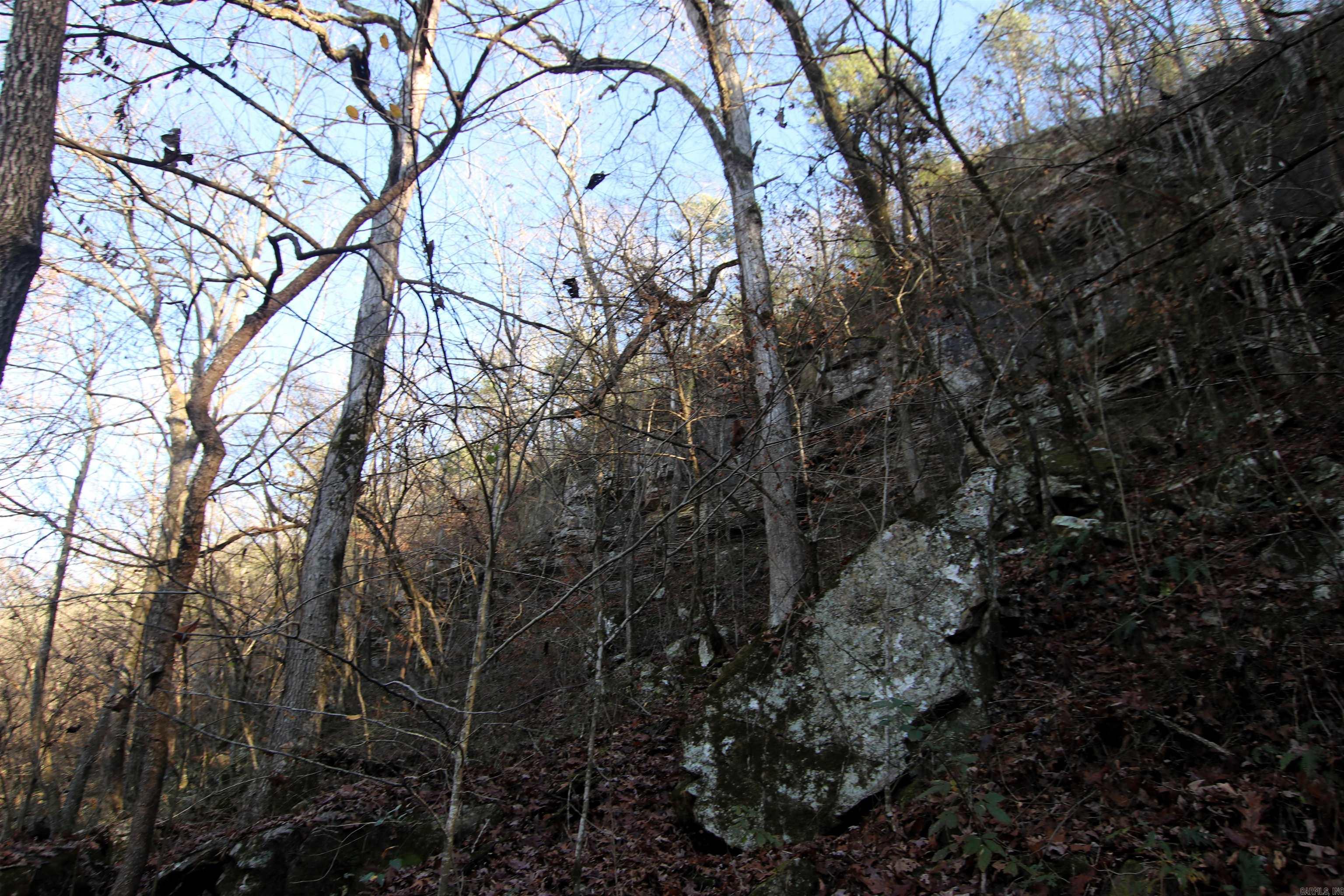 287 Copeland Cave  Cleveland, AR