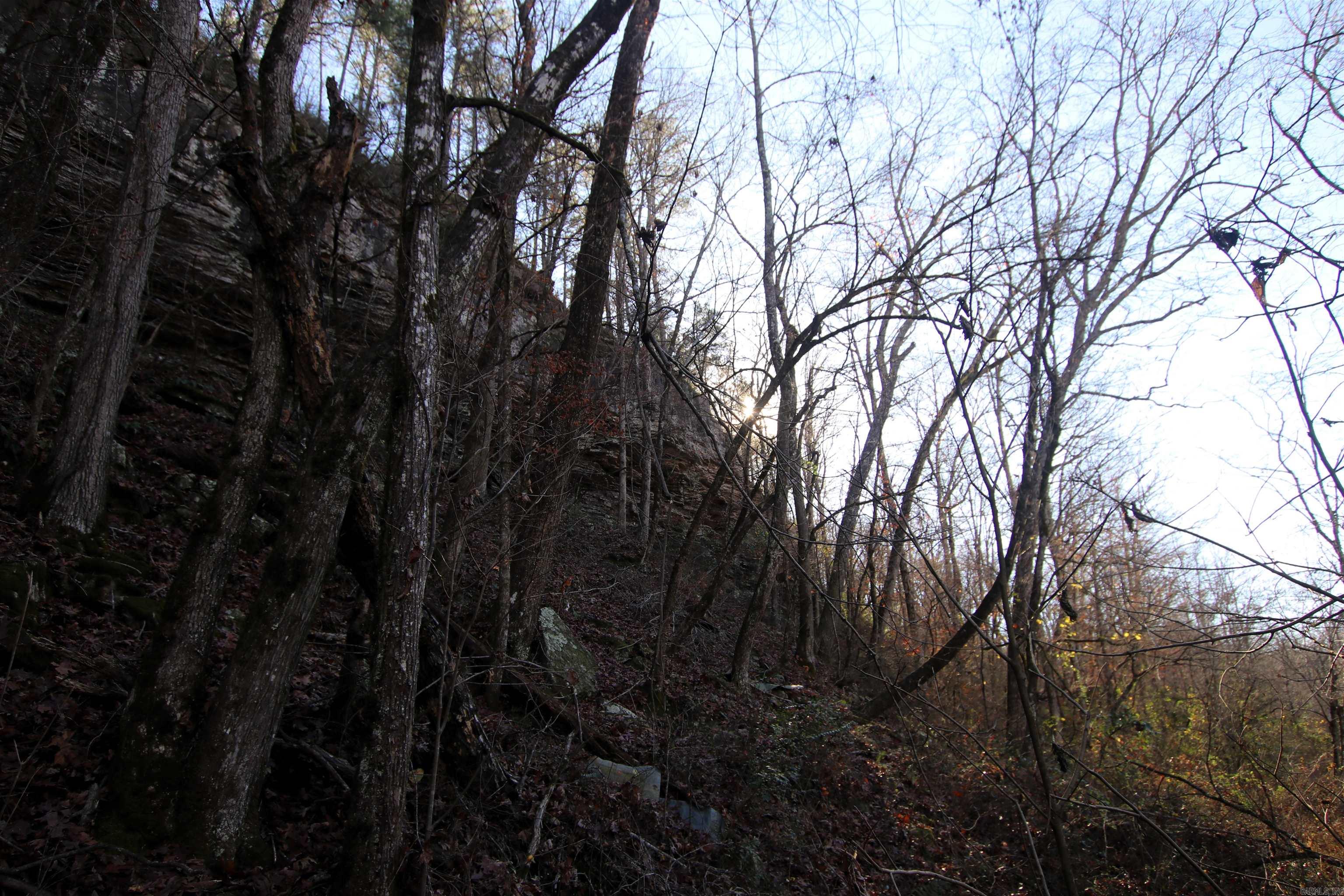 287 Copeland Cave  Cleveland, AR