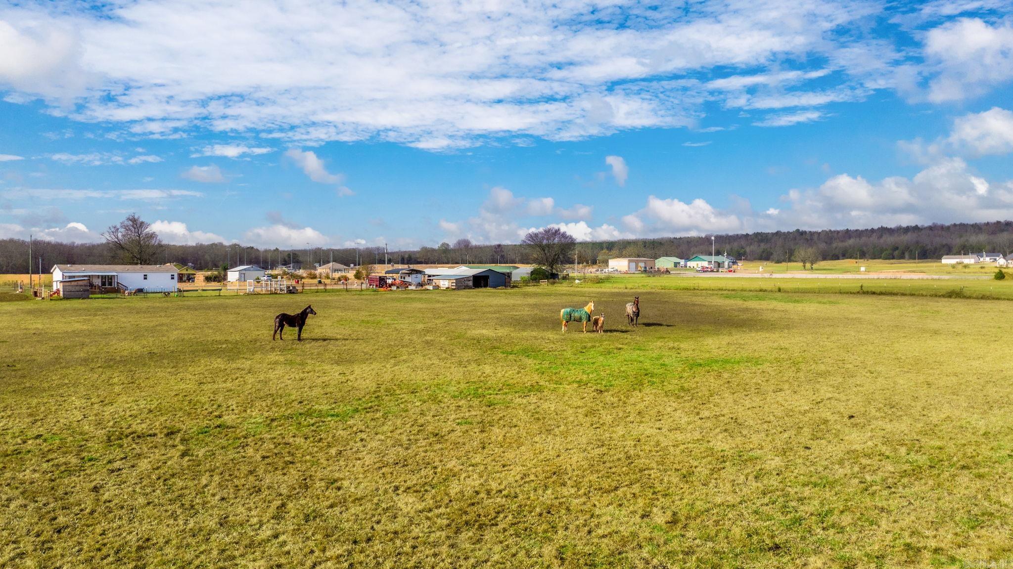 36 N Mt Olive  Vilonia, AR