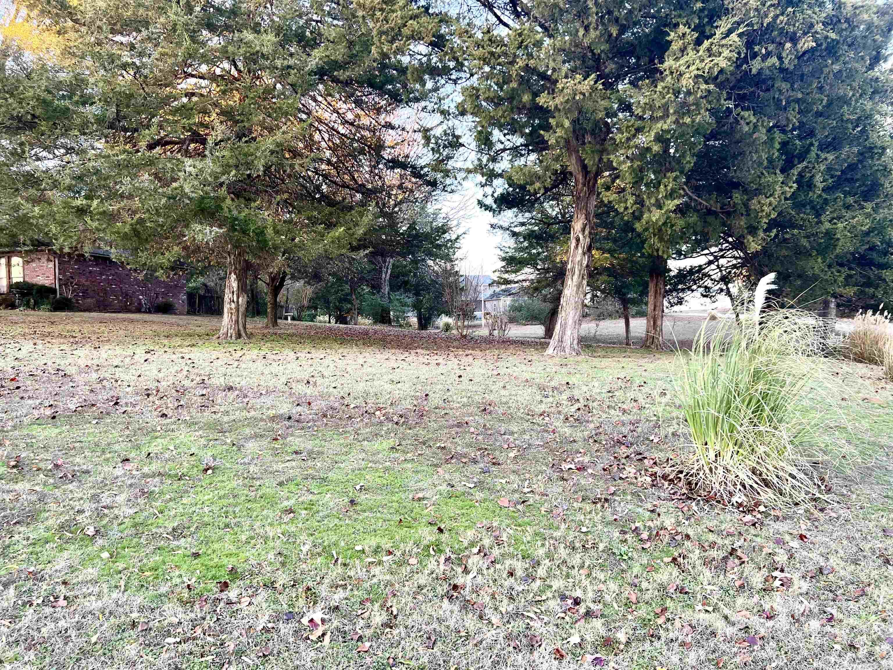 100 Ginger  Searcy, AR