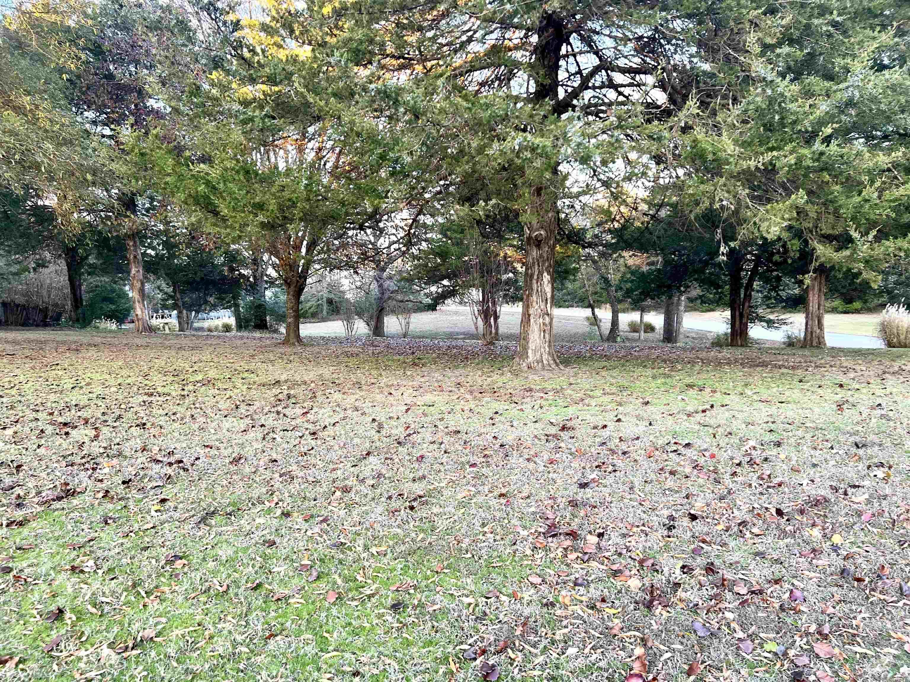 100 Ginger  Searcy, AR