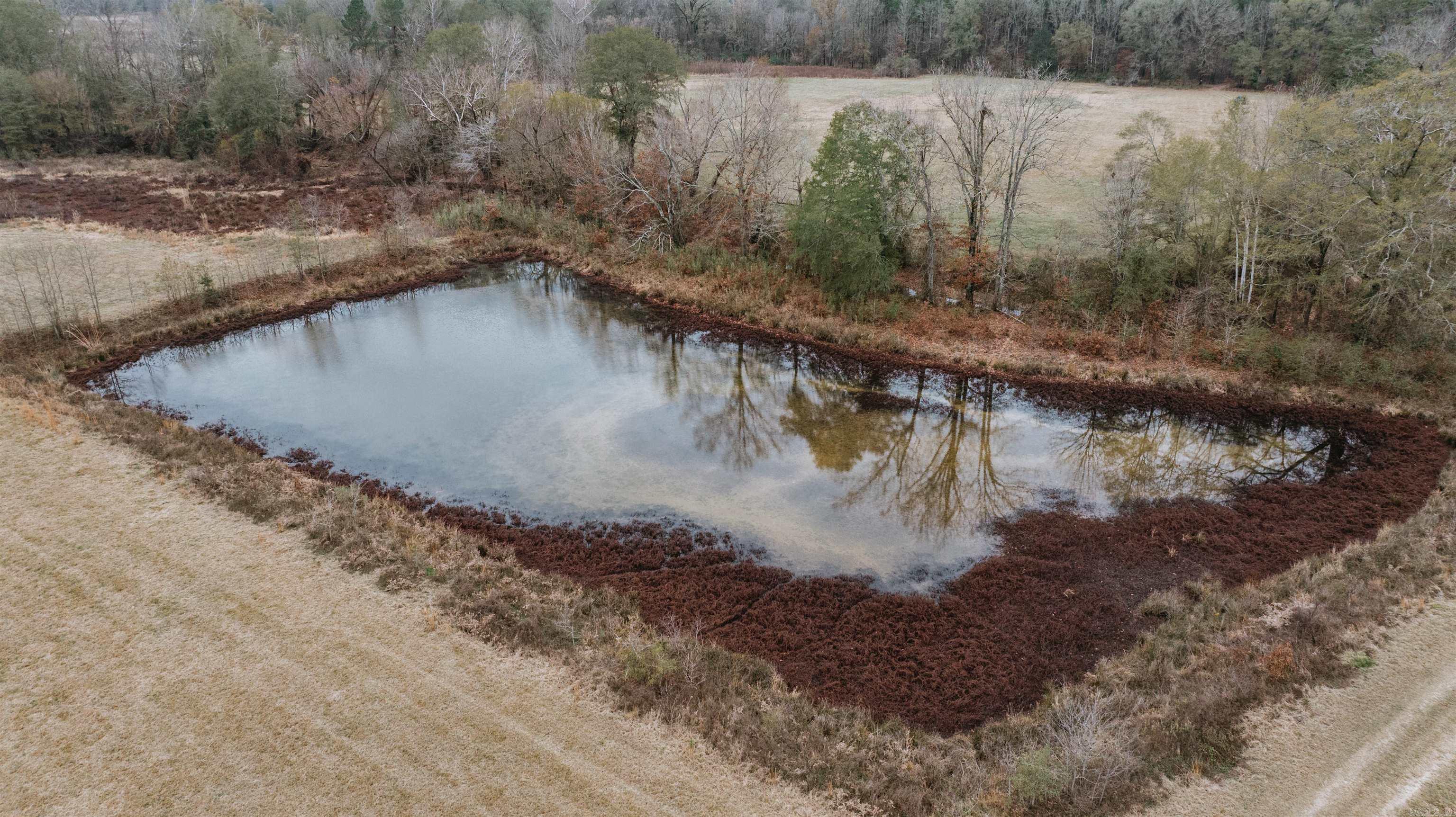 7183 S 51  Arkadelphia, AR