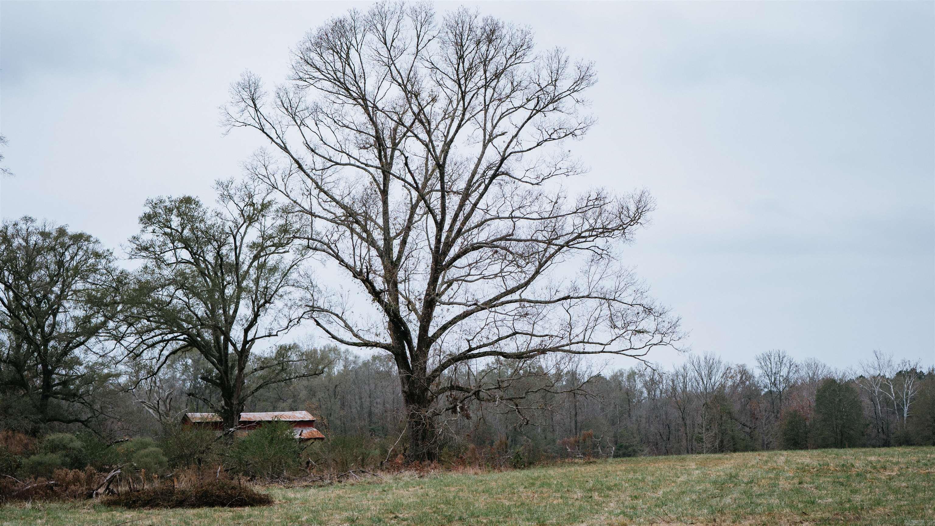 7183 S 51  Arkadelphia, AR