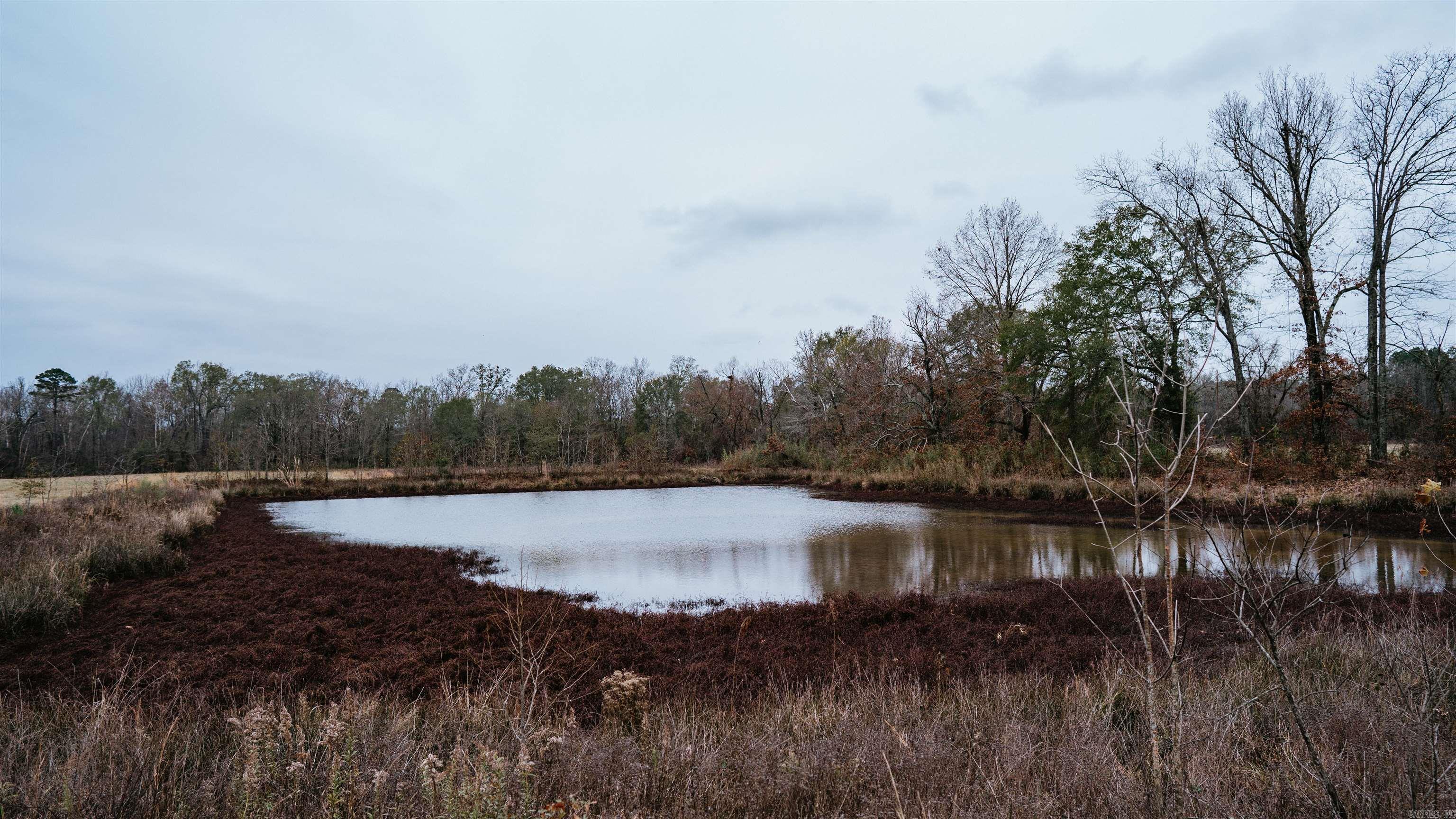 7183 S 51  Arkadelphia, AR