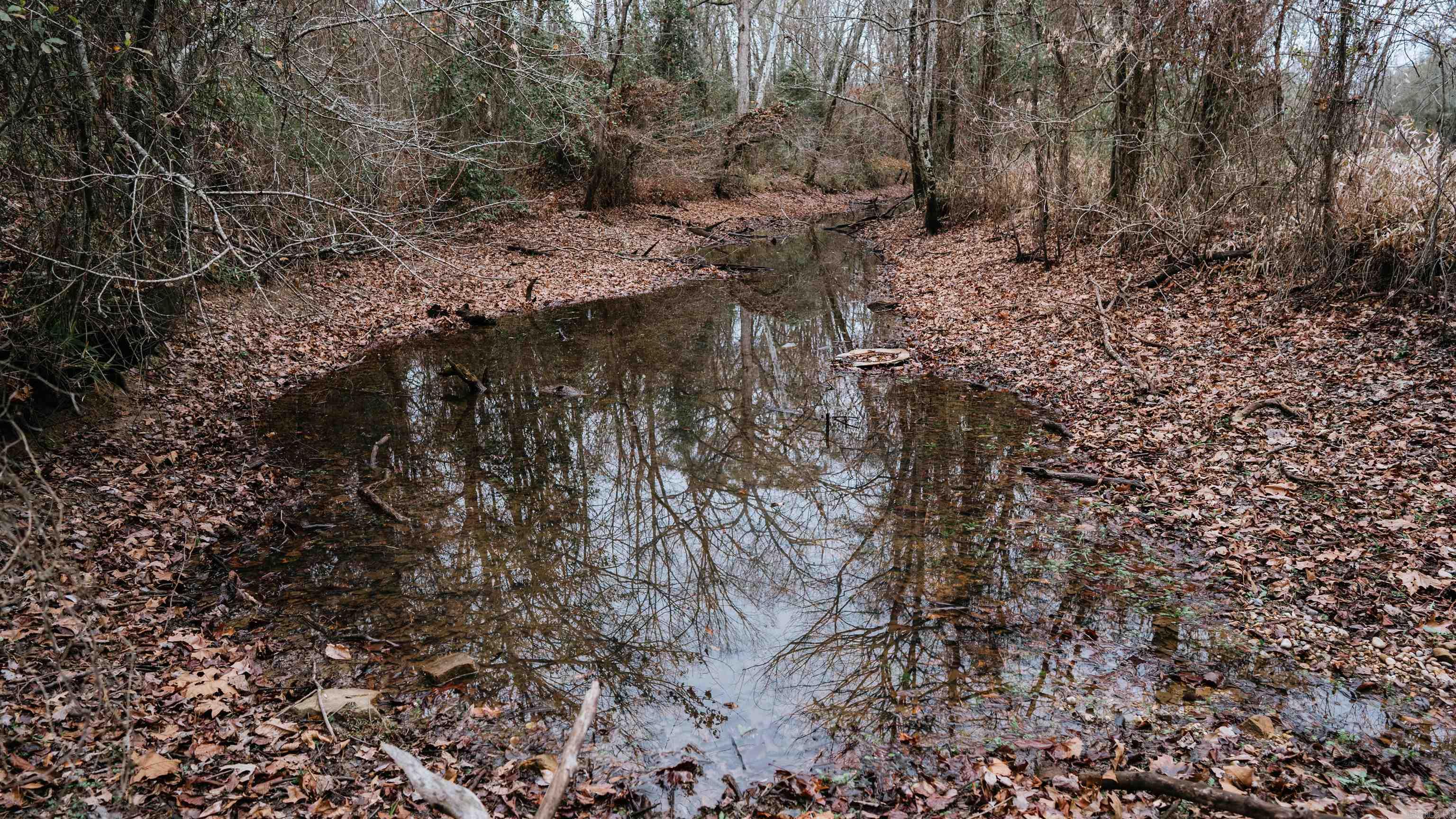 7183 S 51  Arkadelphia, AR