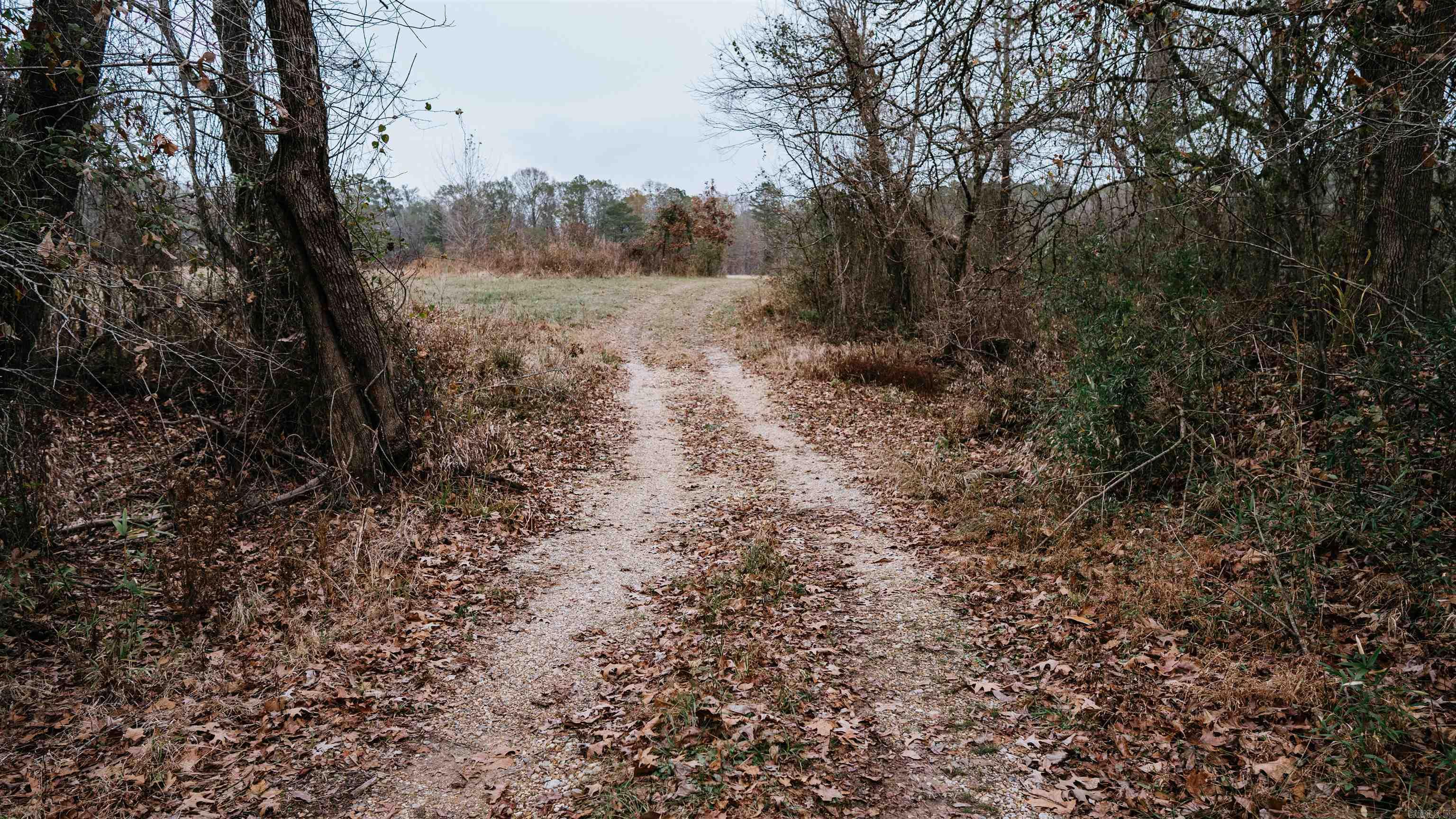 7183 S 51  Arkadelphia, AR