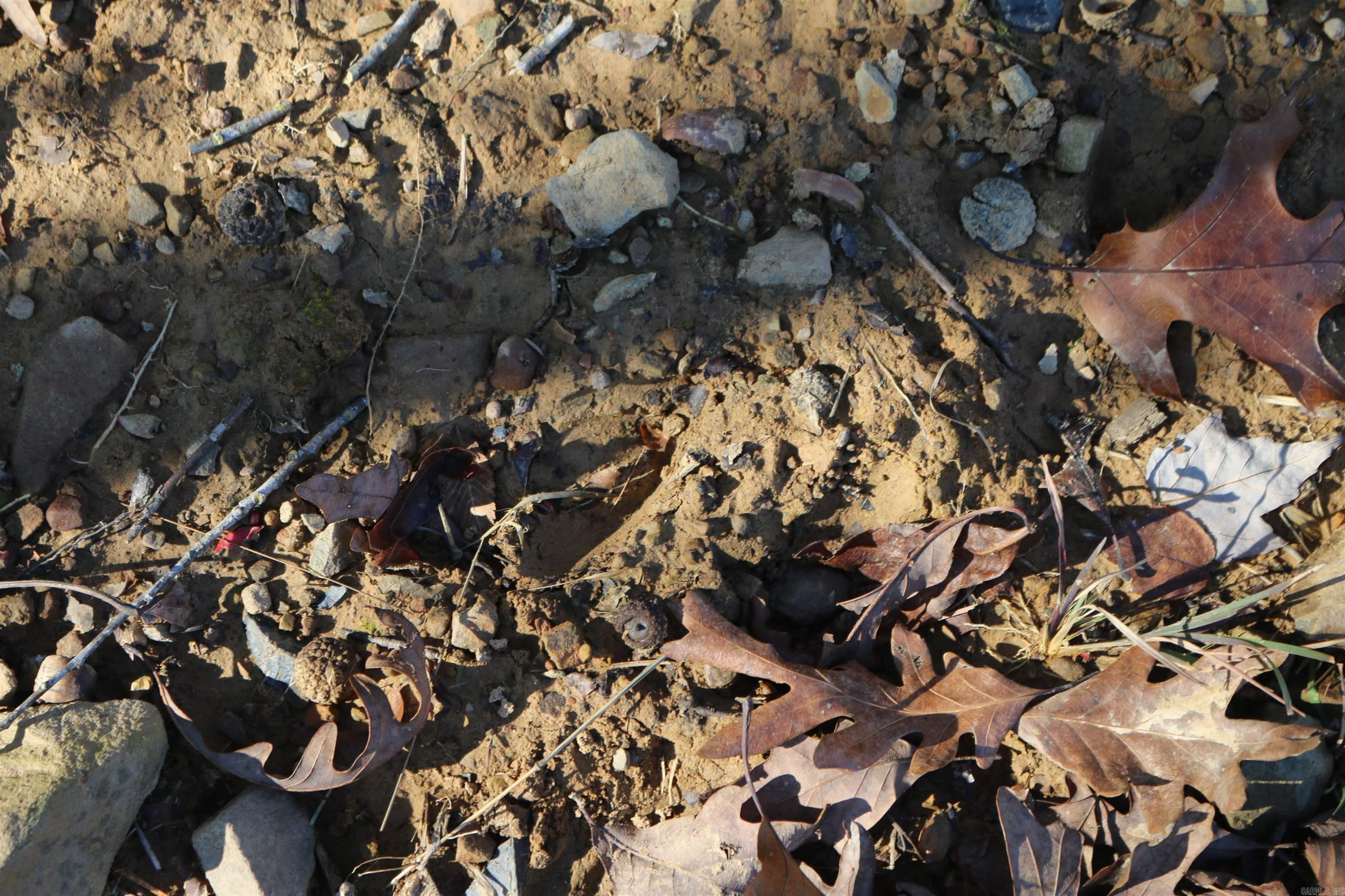 1386 Polk Rd 48  Mena, AR