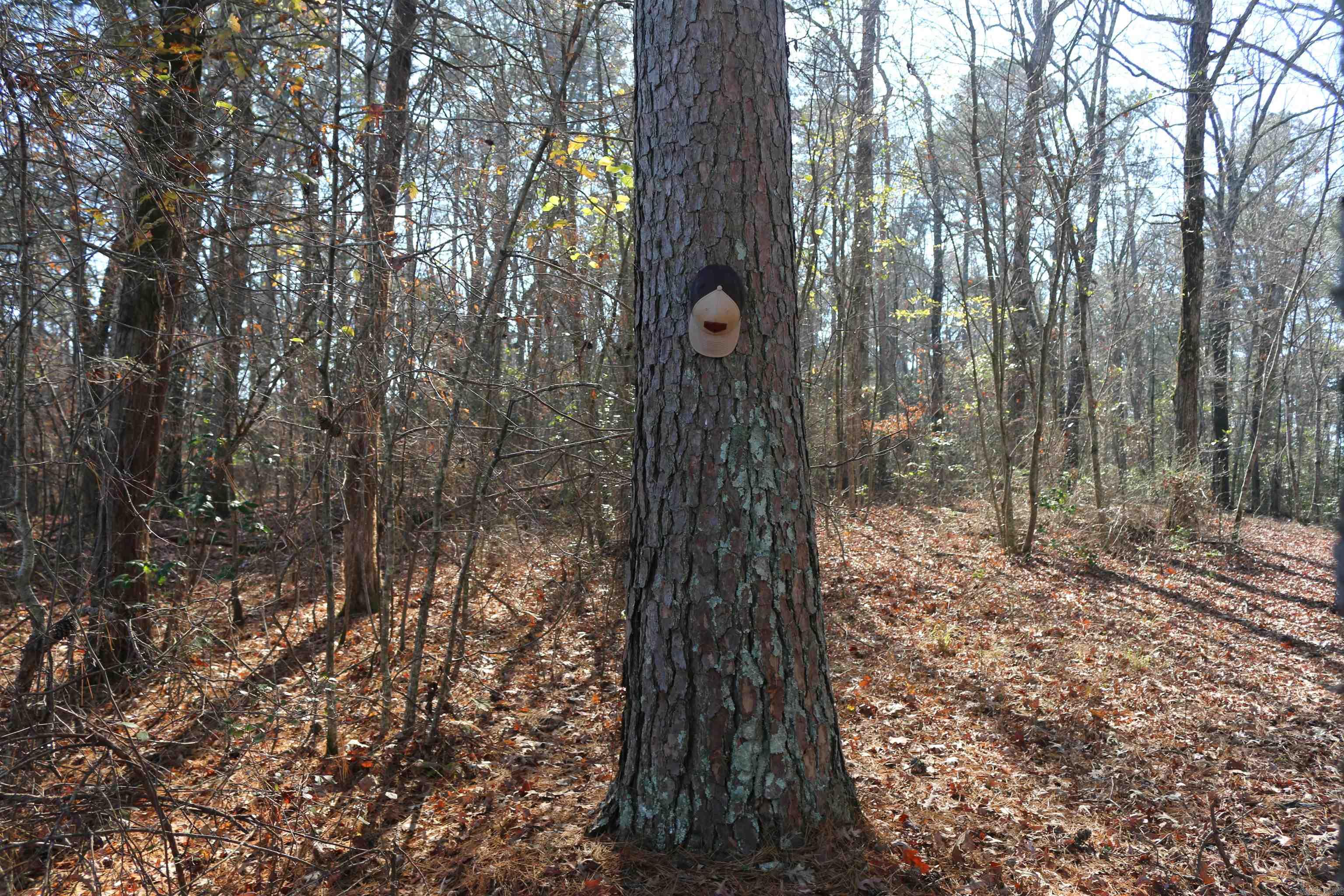 1386 Polk Rd 48 Mena, AR 71953