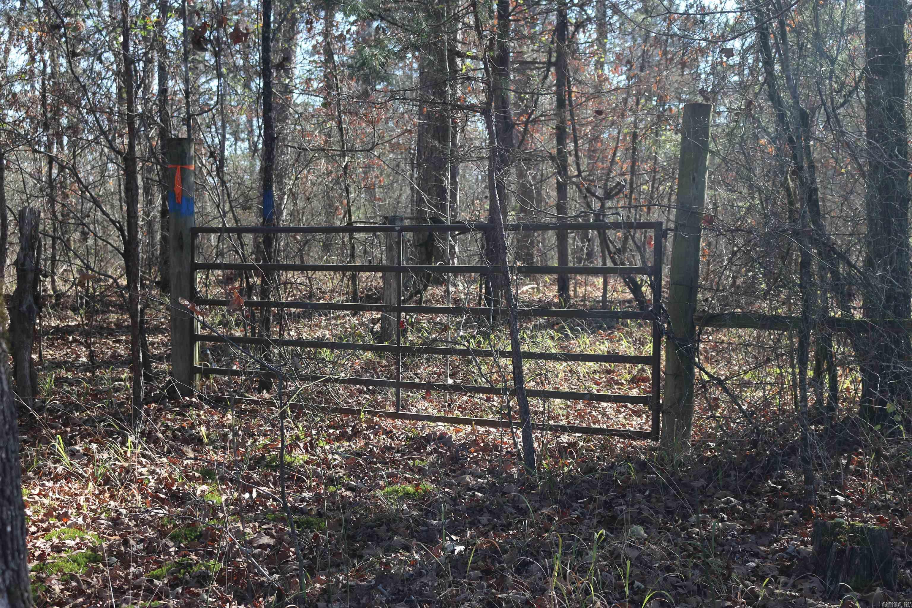 1386 Polk Rd 48  Mena, AR