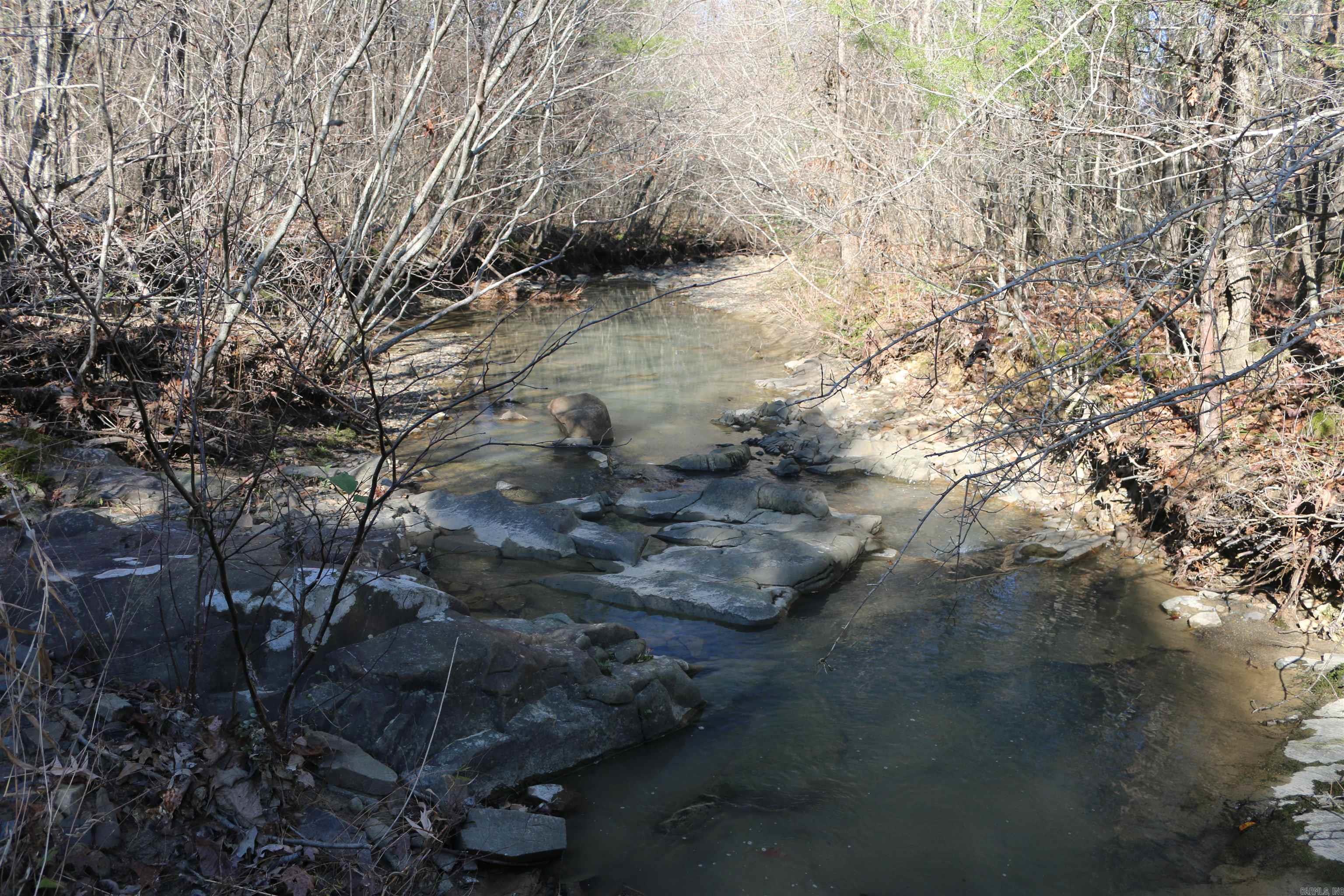 1386 Polk Rd 48  Mena, AR