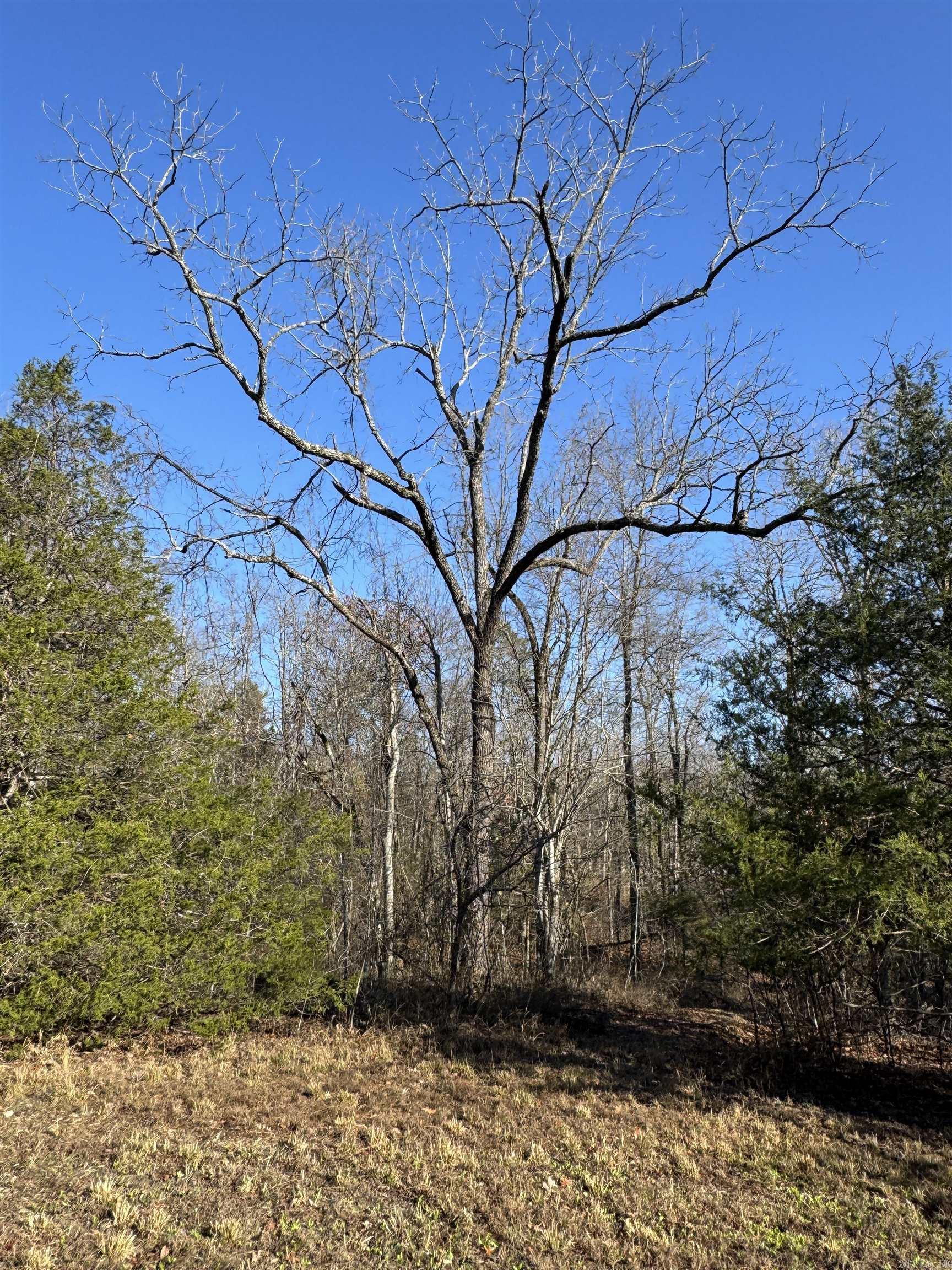 480 Galens  Concord, AR