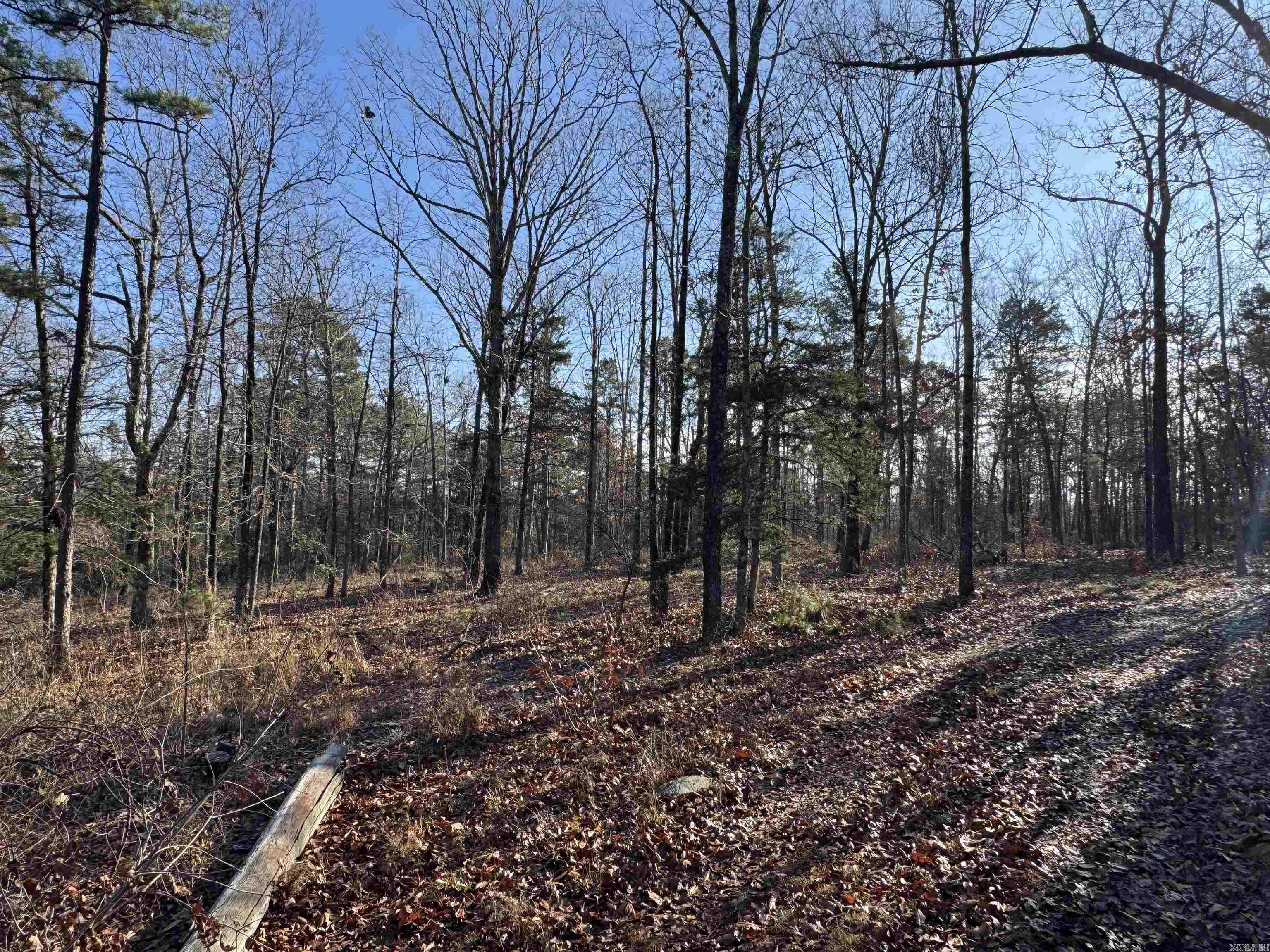 480 Galens  Concord, AR