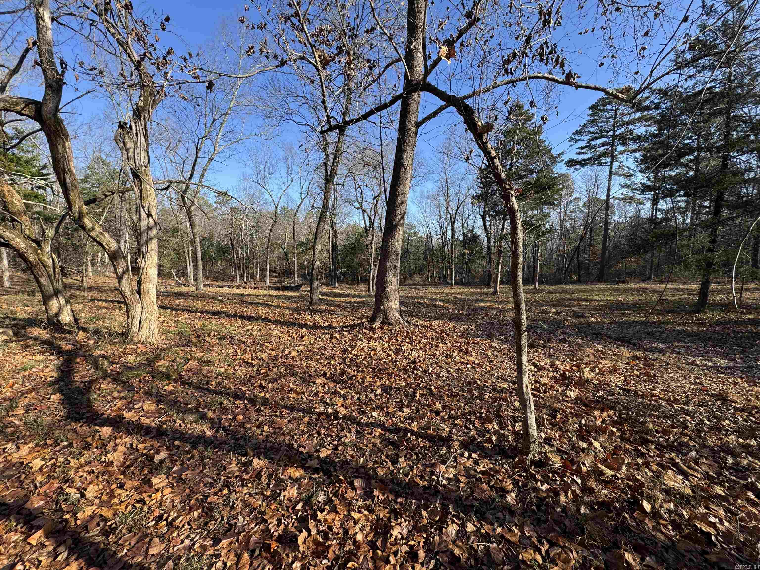 480 Galens  Concord, AR