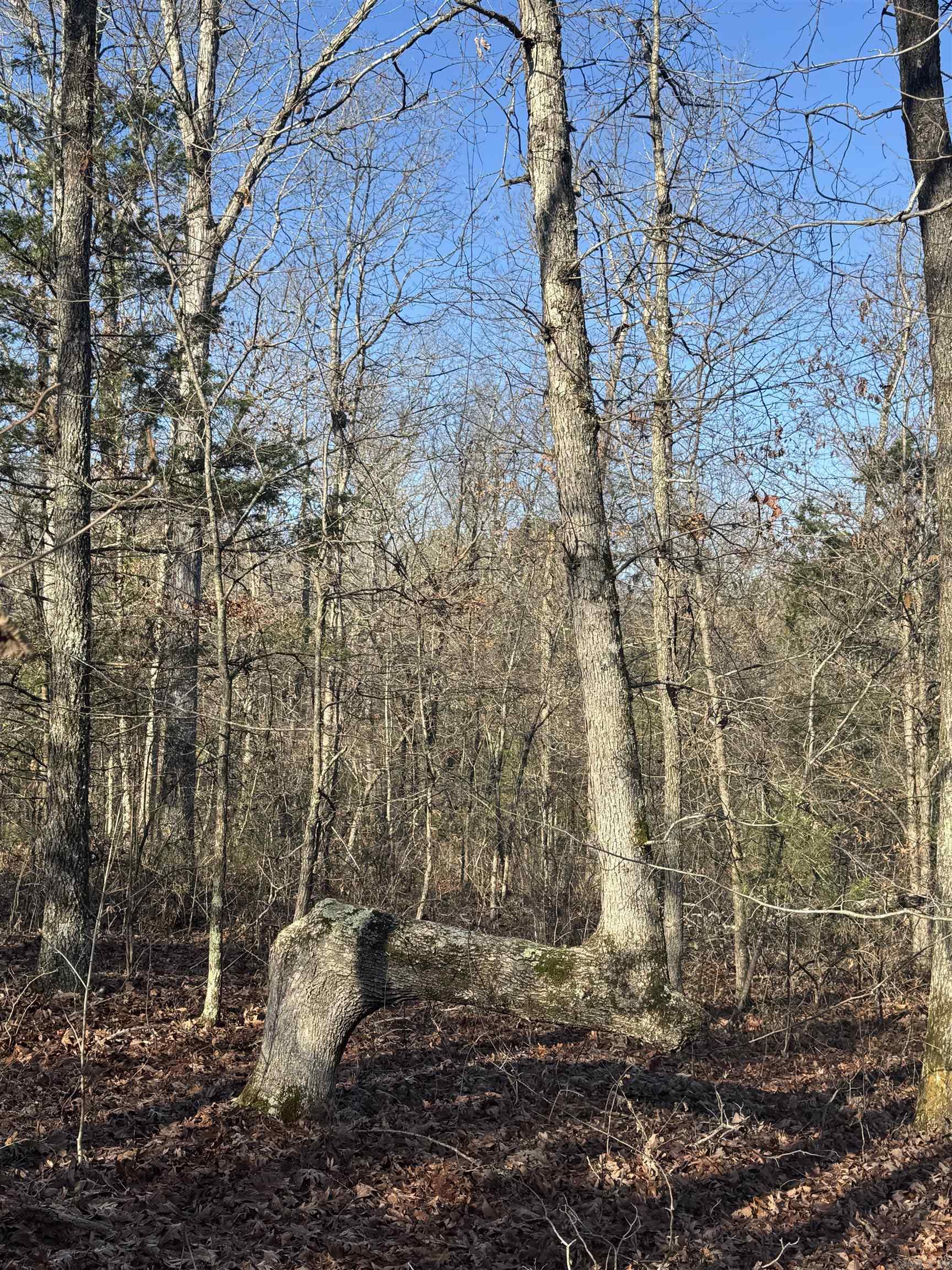 480 Galens  Concord, AR