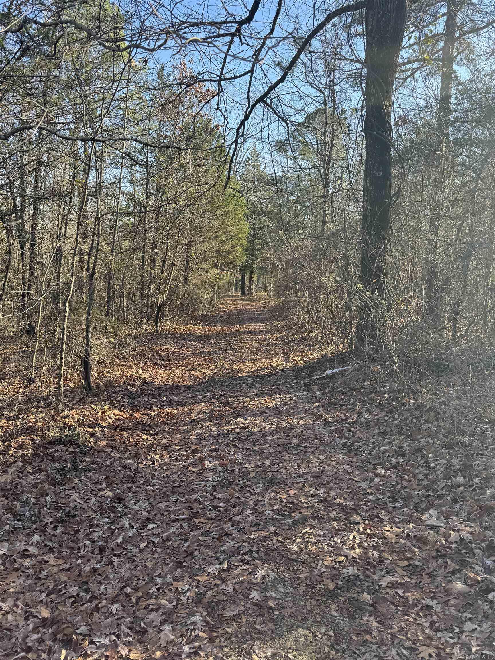 480 Galens  Concord, AR