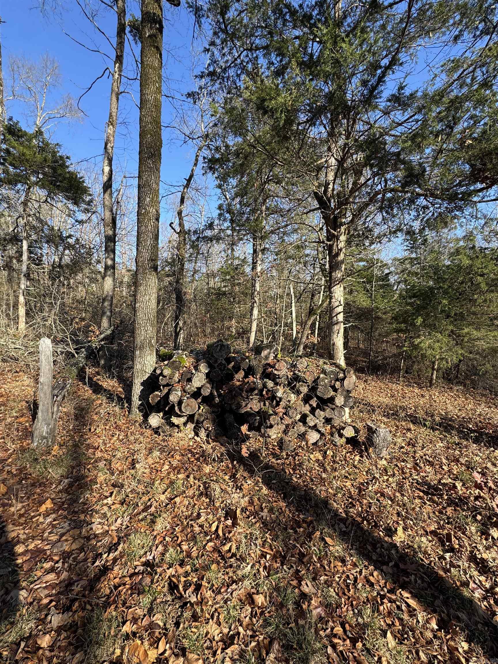 480 Galens  Concord, AR