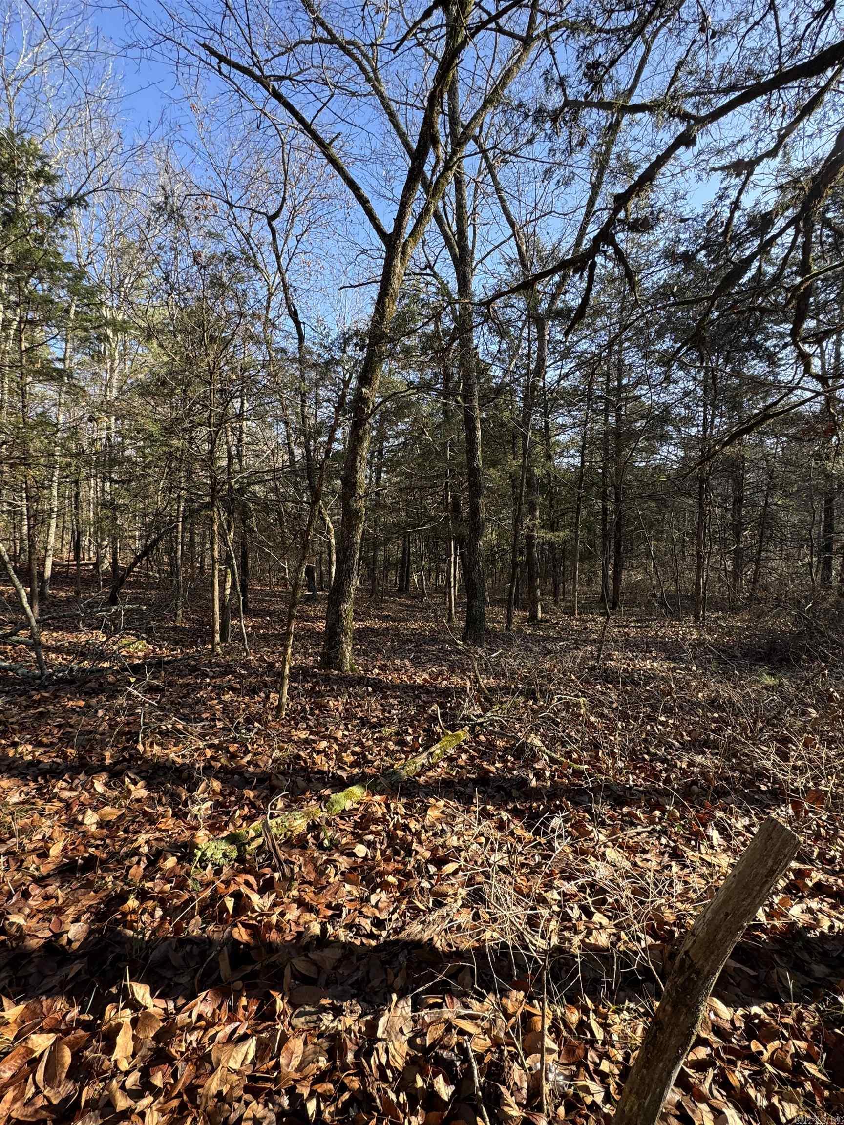 480 Galens  Concord, AR