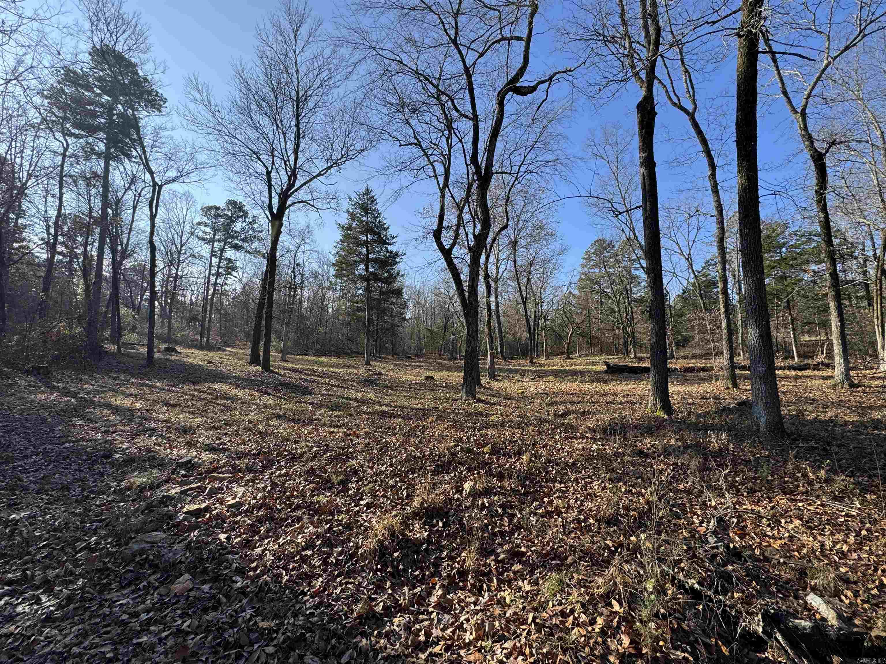 480 Galens  Concord, AR