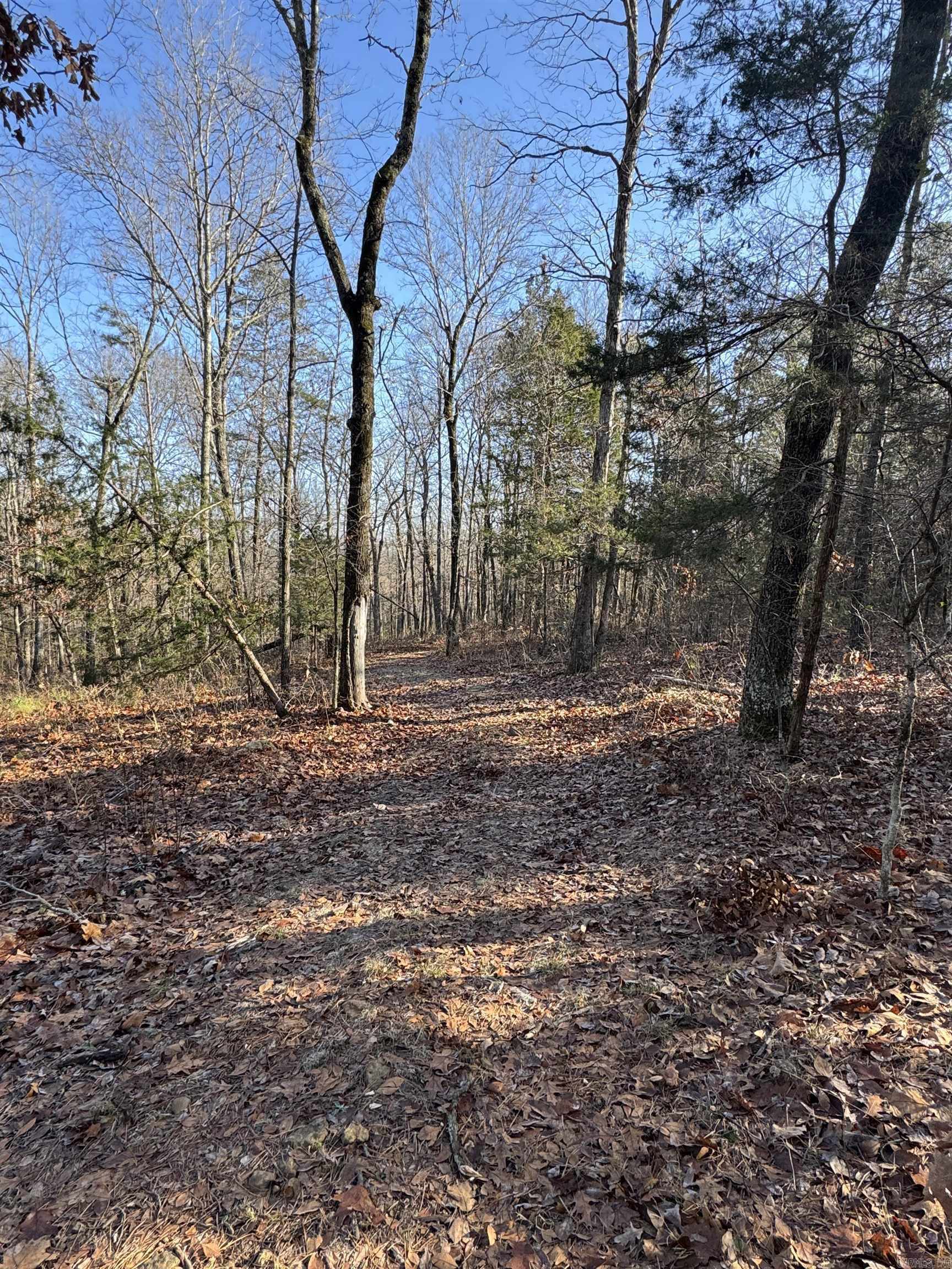 480 Galens  Concord, AR