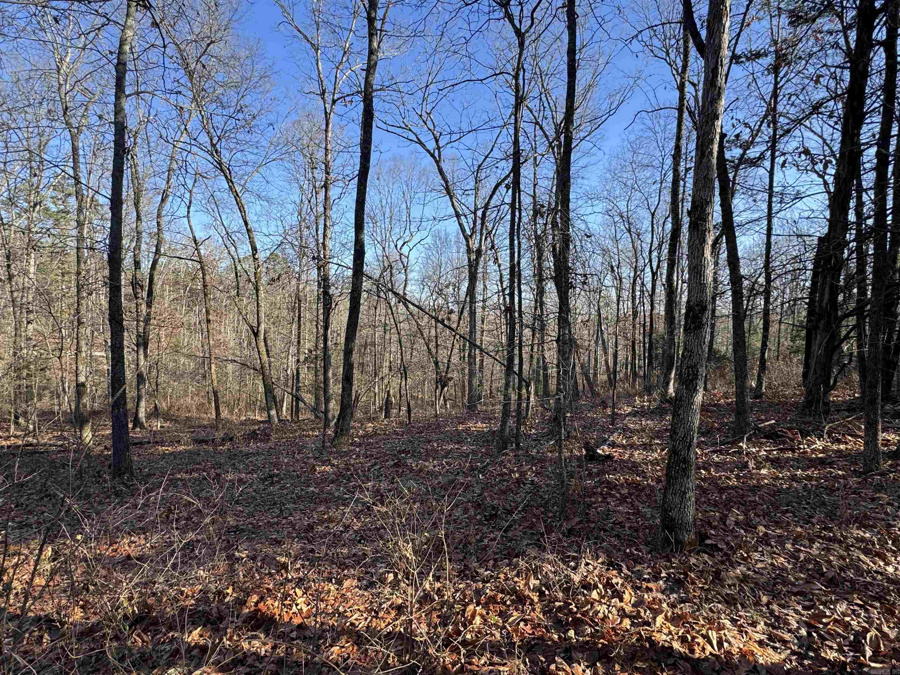 480 Galens  Concord, AR