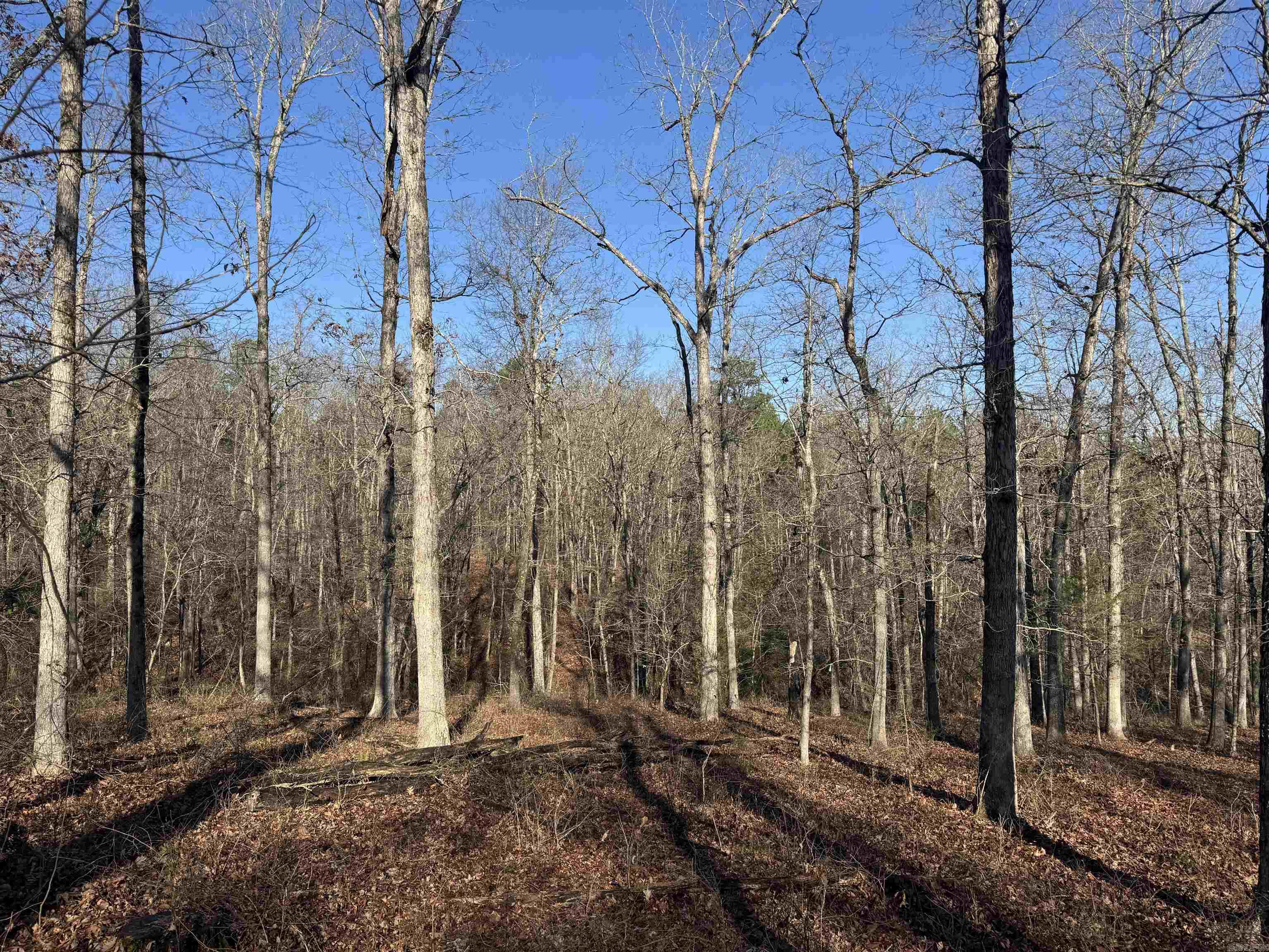 480 Galens  Concord, AR