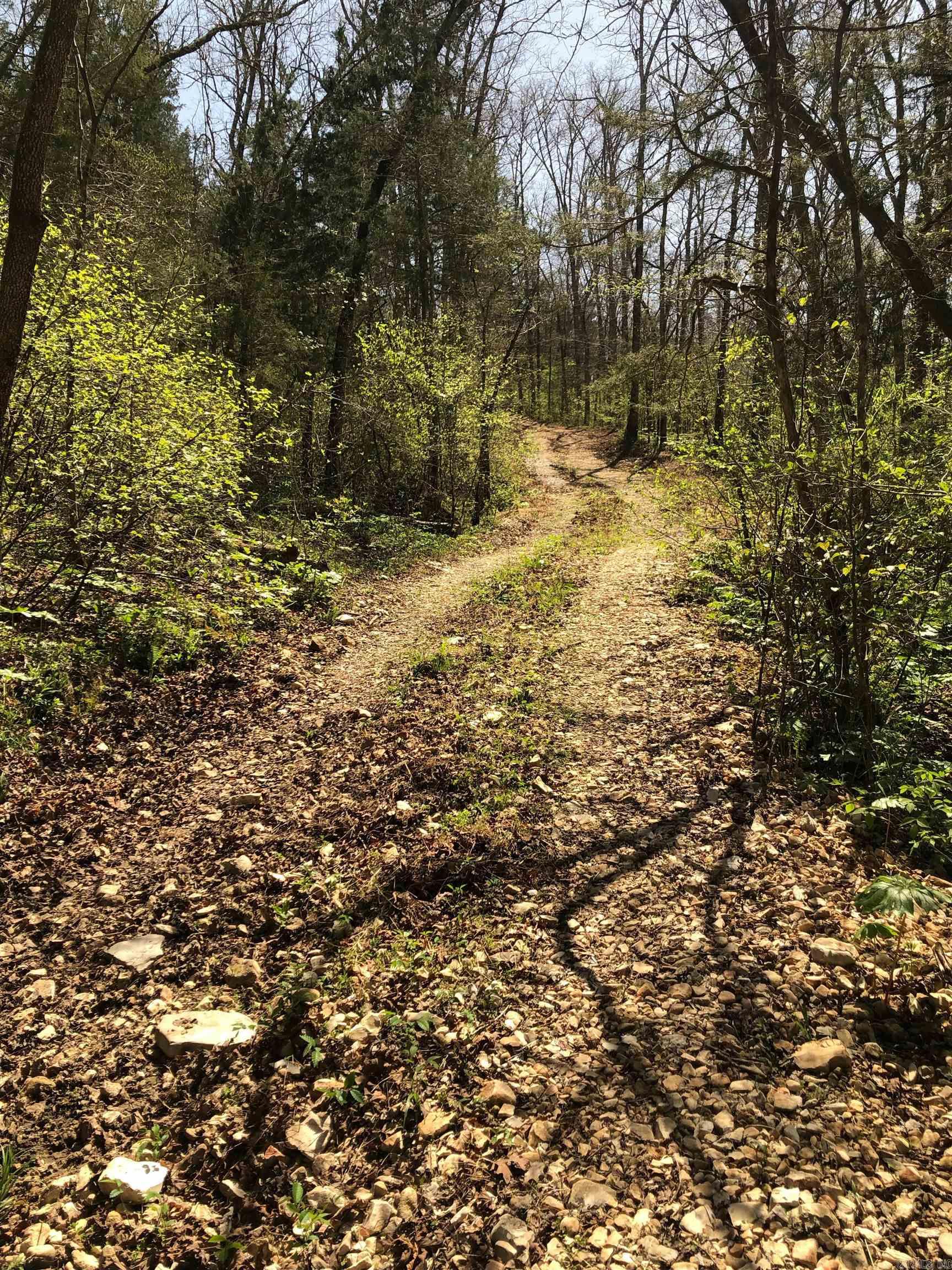 2873 Gutter Road  Harriet, AR