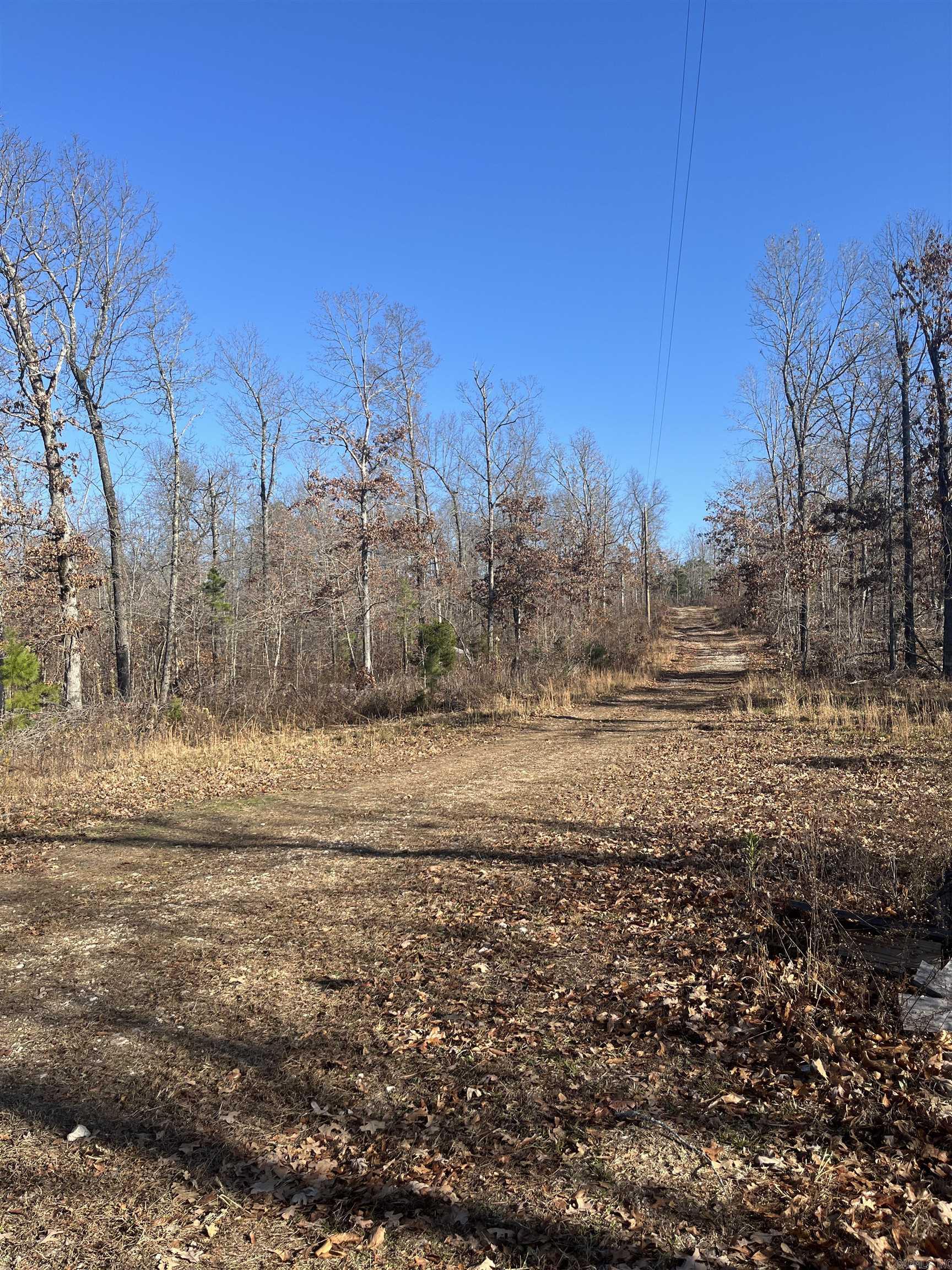 2873 Gutter Road  Harriet, AR