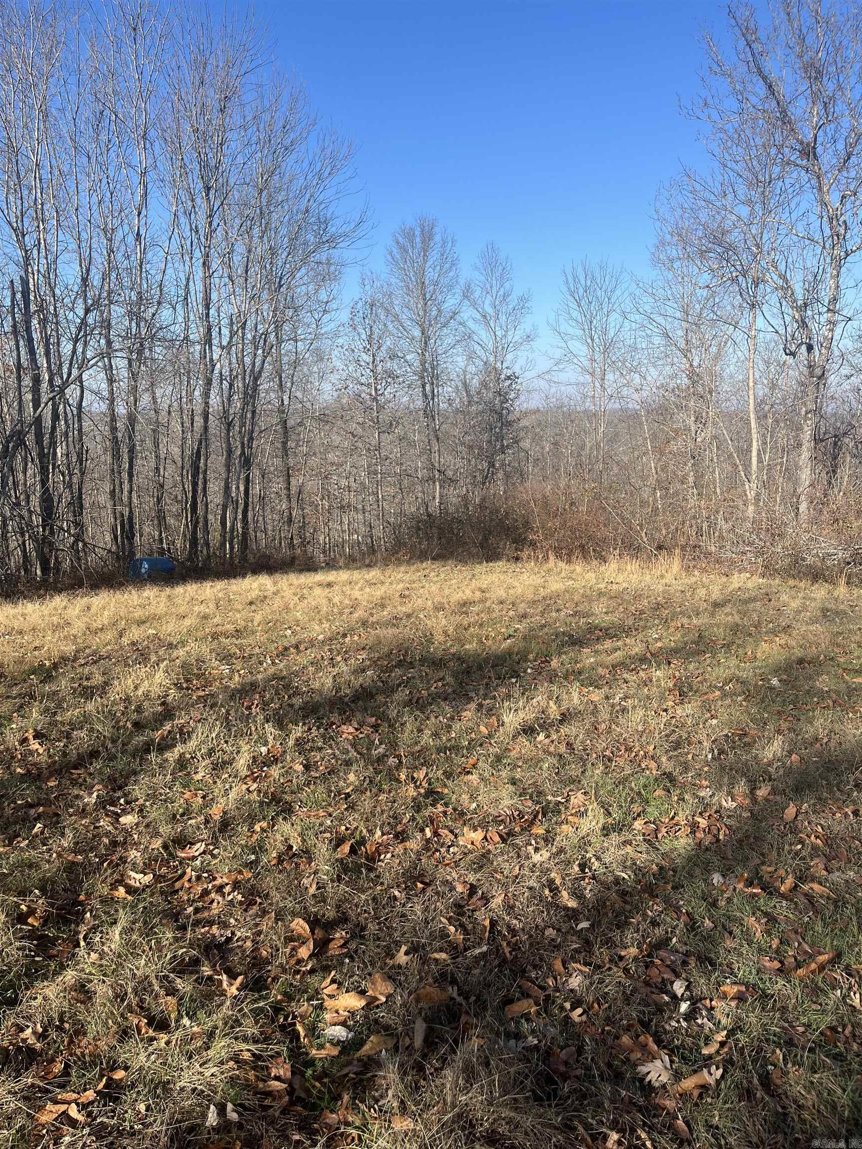 2873 Gutter Road  Harriet, AR