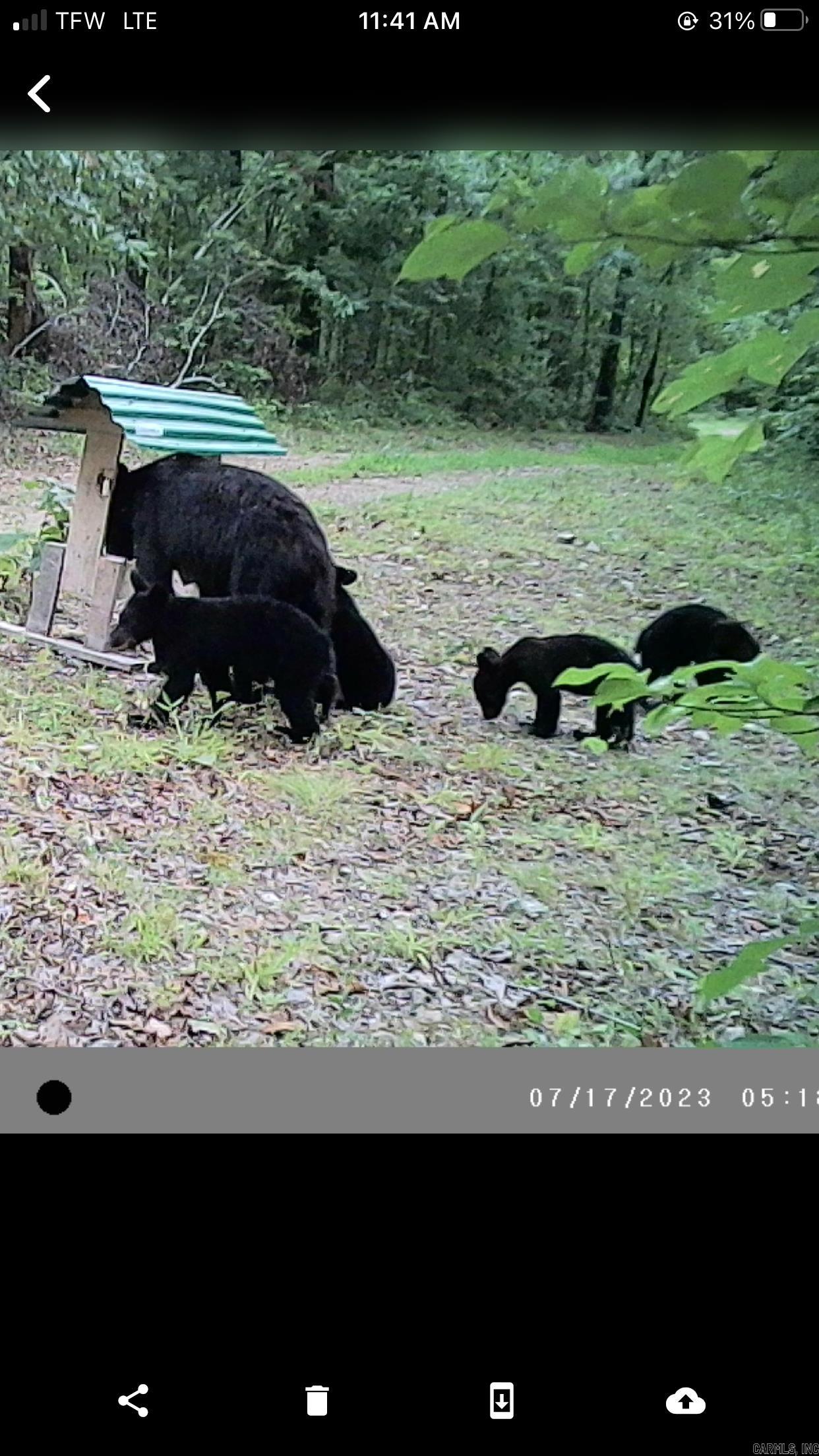 2873 Gutter Road  Harriet, AR