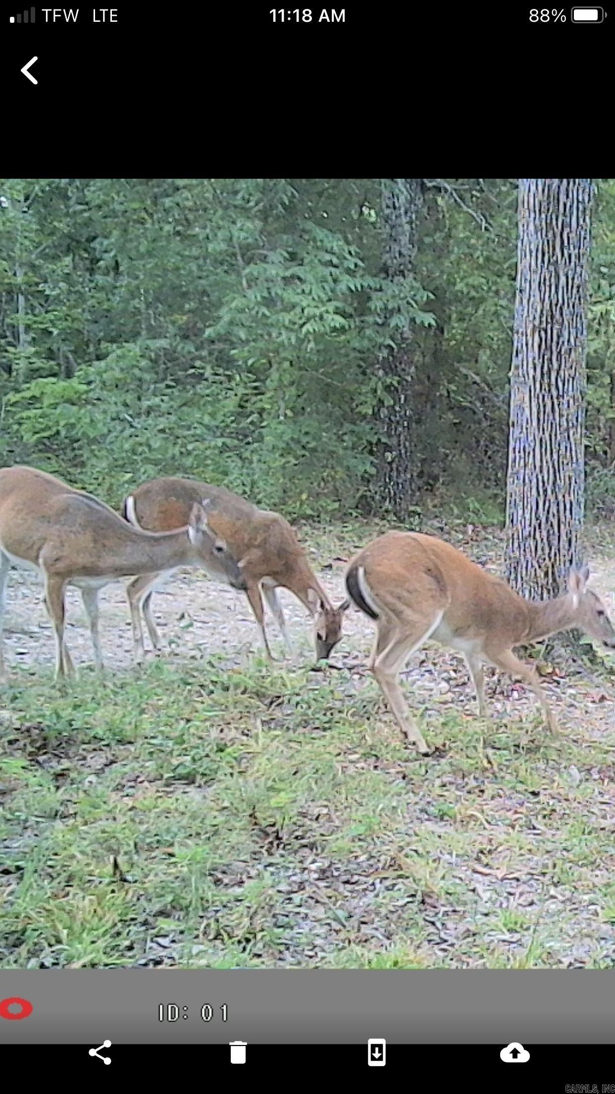 2873 Gutter Road  Harriet, AR