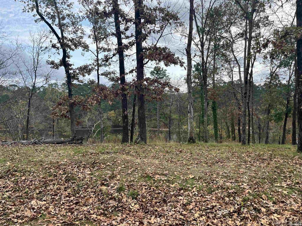 TBD Warpath Dr  Hot Springs, AR