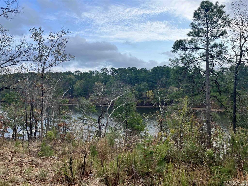 TBD Warpath Dr  Hot Springs, AR