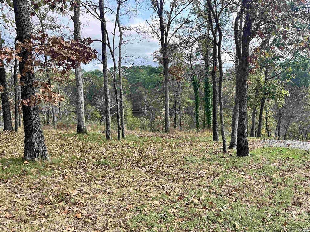 TBD Warpath Dr  Hot Springs, AR