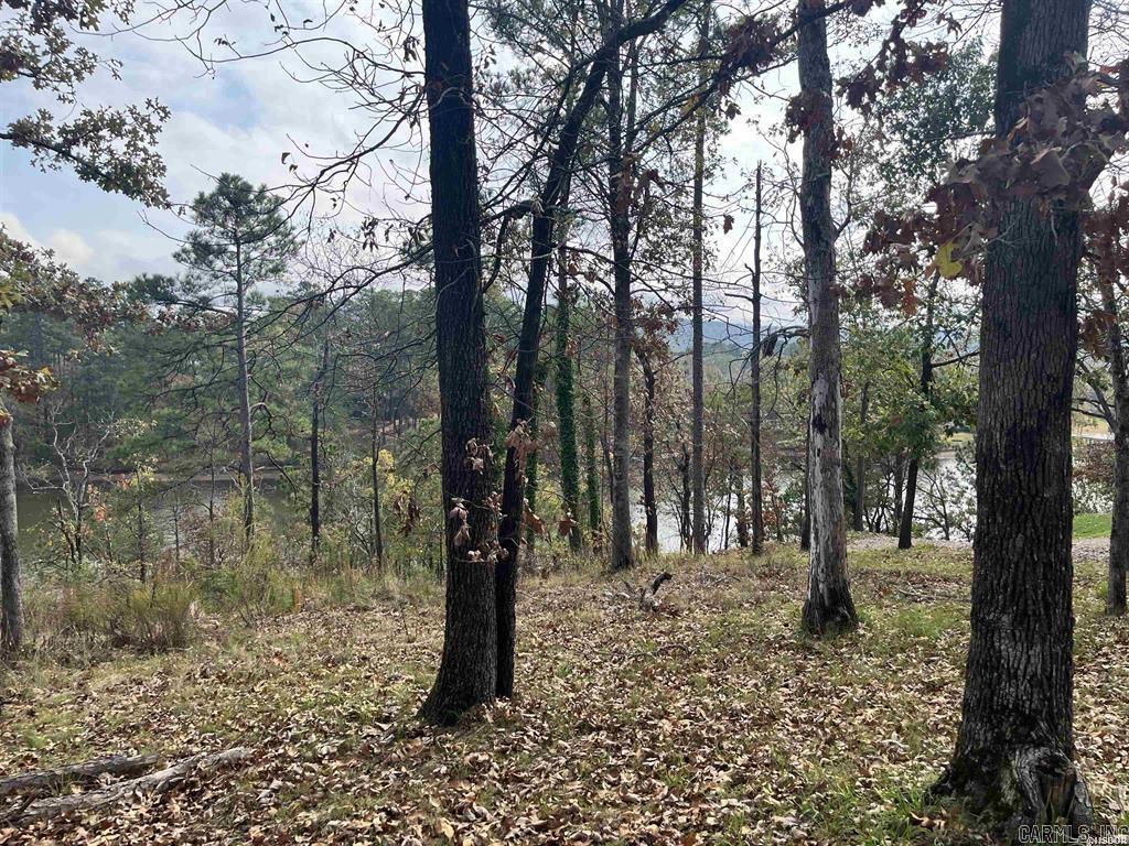 TBD Warpath Dr  Hot Springs, AR