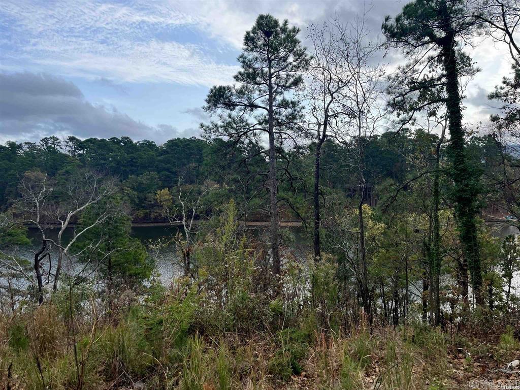 TBD Warpath Dr  Hot Springs, AR