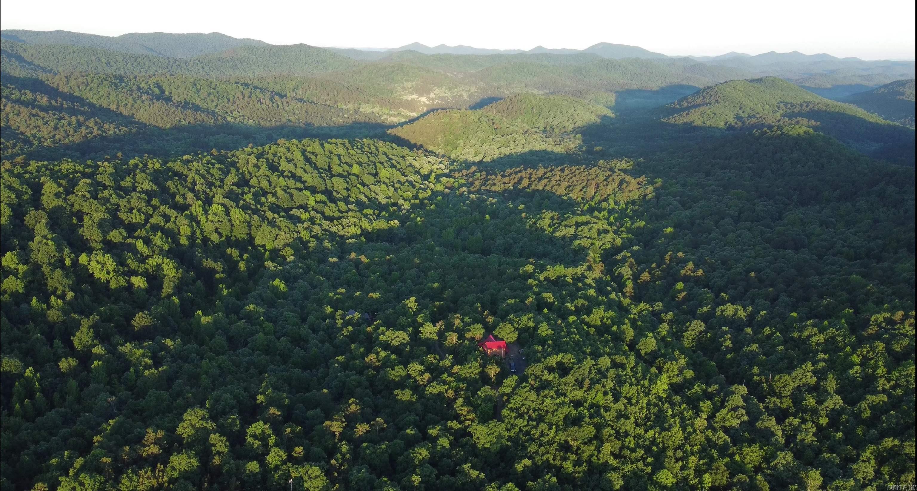 383A Massey Lane  Mena, AR